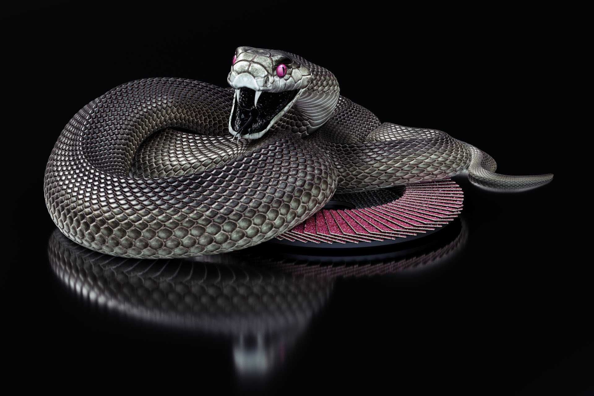 1920x1280 Black Mamba Snake Wallpaper HD Collection Of Black Snake, Desktop