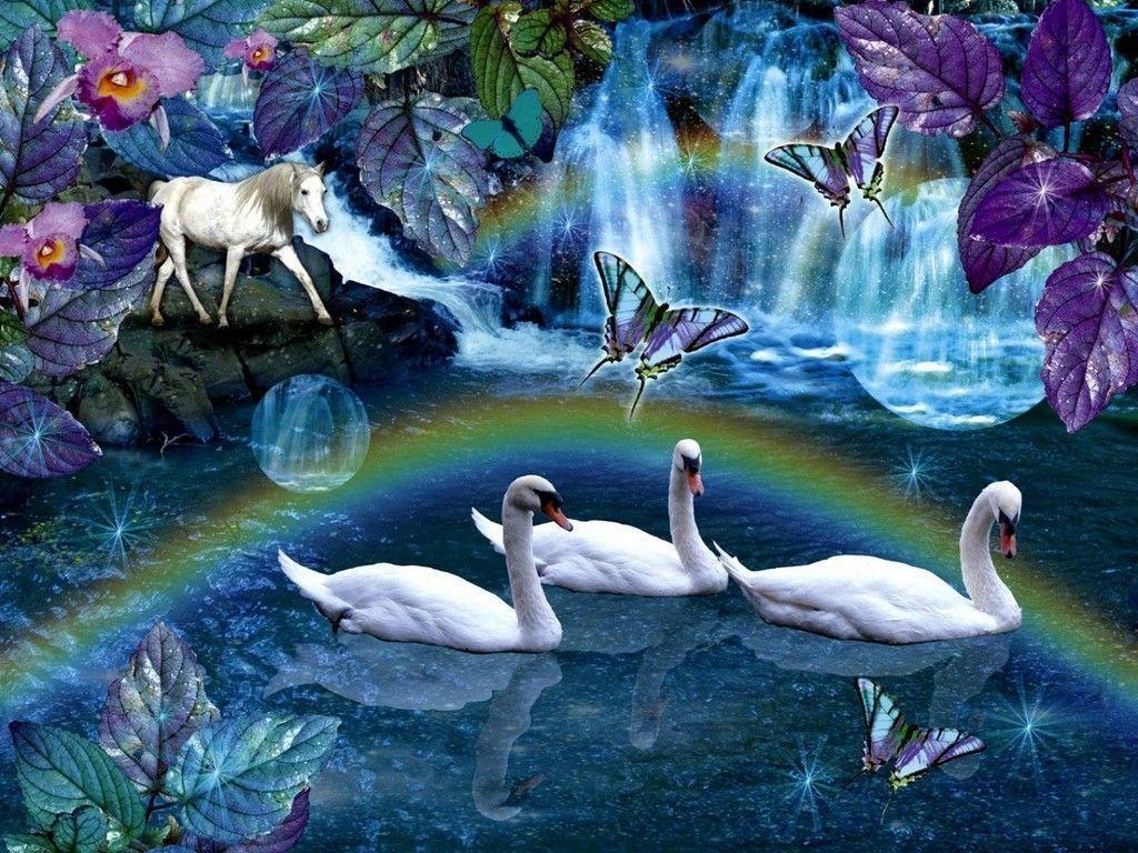 1030x770 Swan Daydream, Desktop