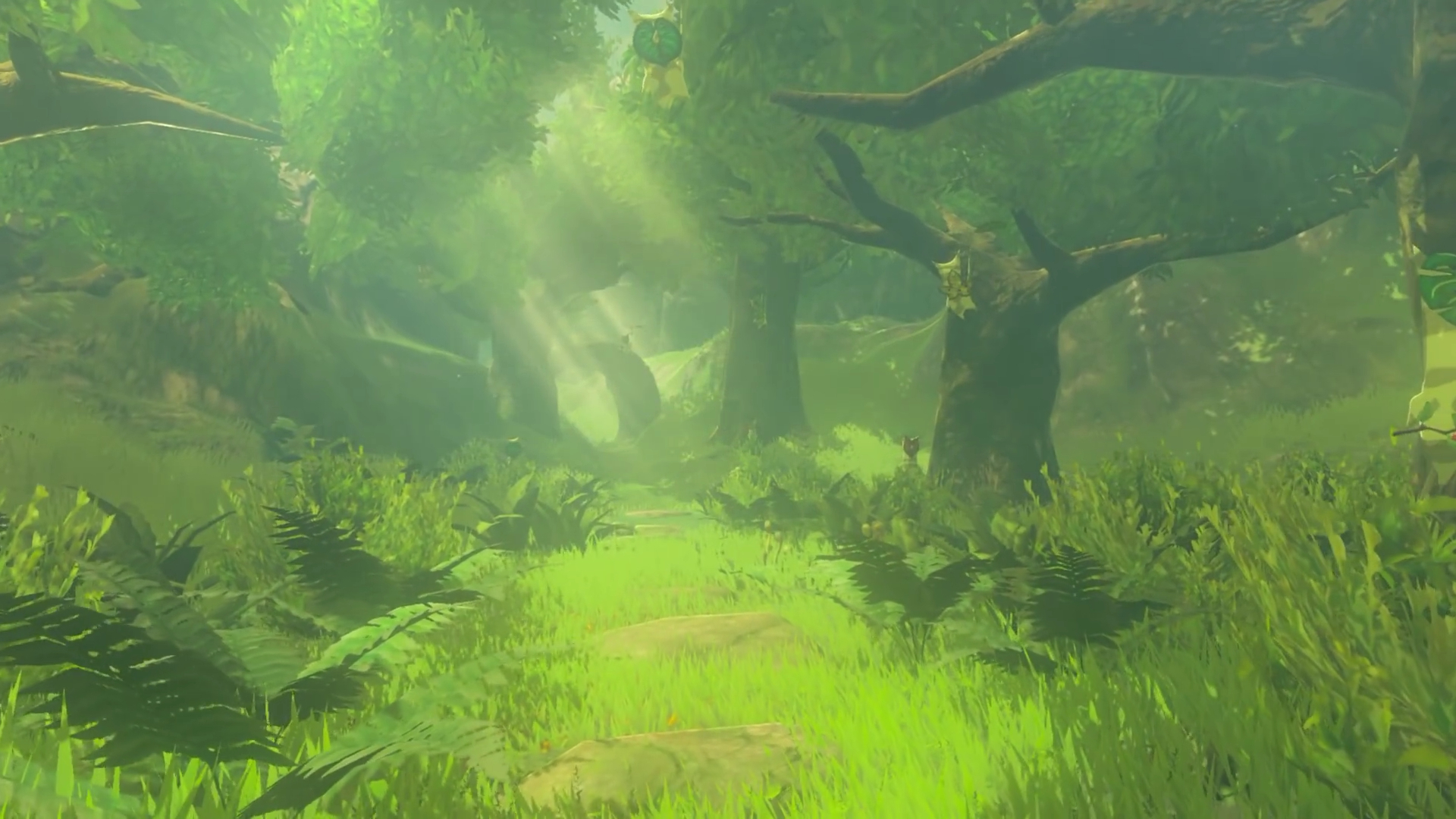 1920x1080 Korok Forest, Desktop