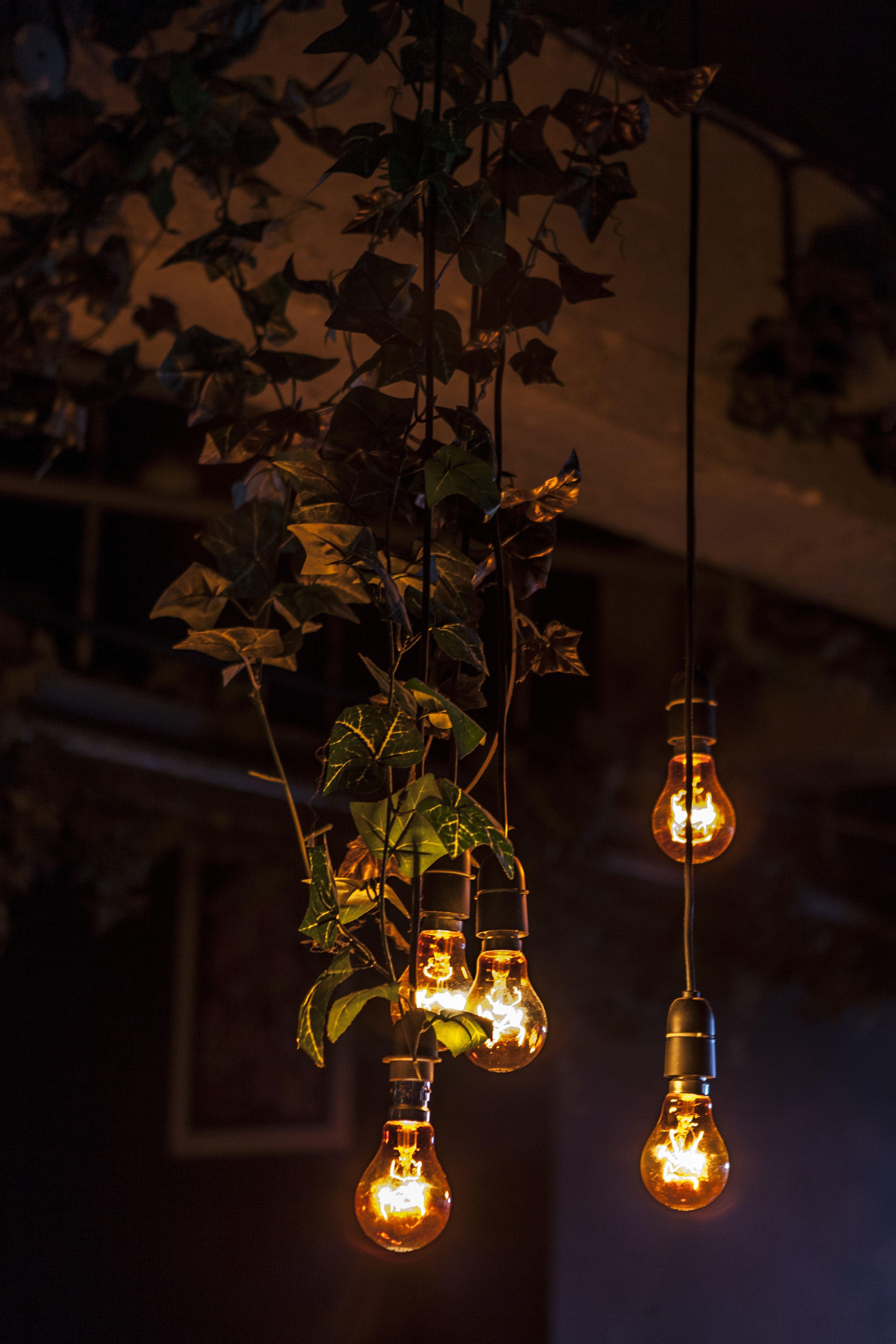 3750x5620 Hanging lightbulbs. illumination. iPhone wallpaper, Phone