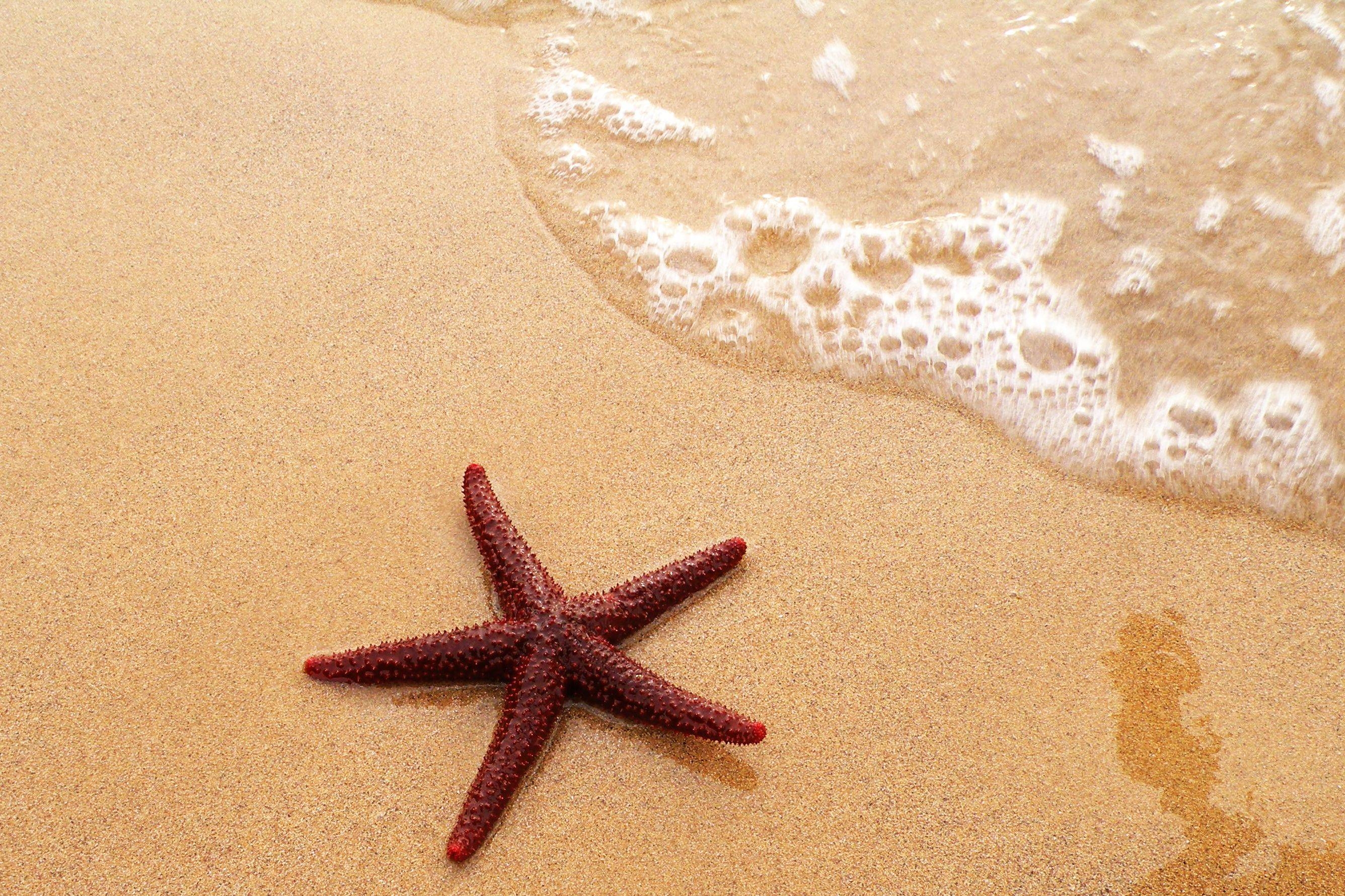 2680x1780 Sand Bottles Starfish Wallpaper HD Wallpaper. awshdwallpaper, Desktop