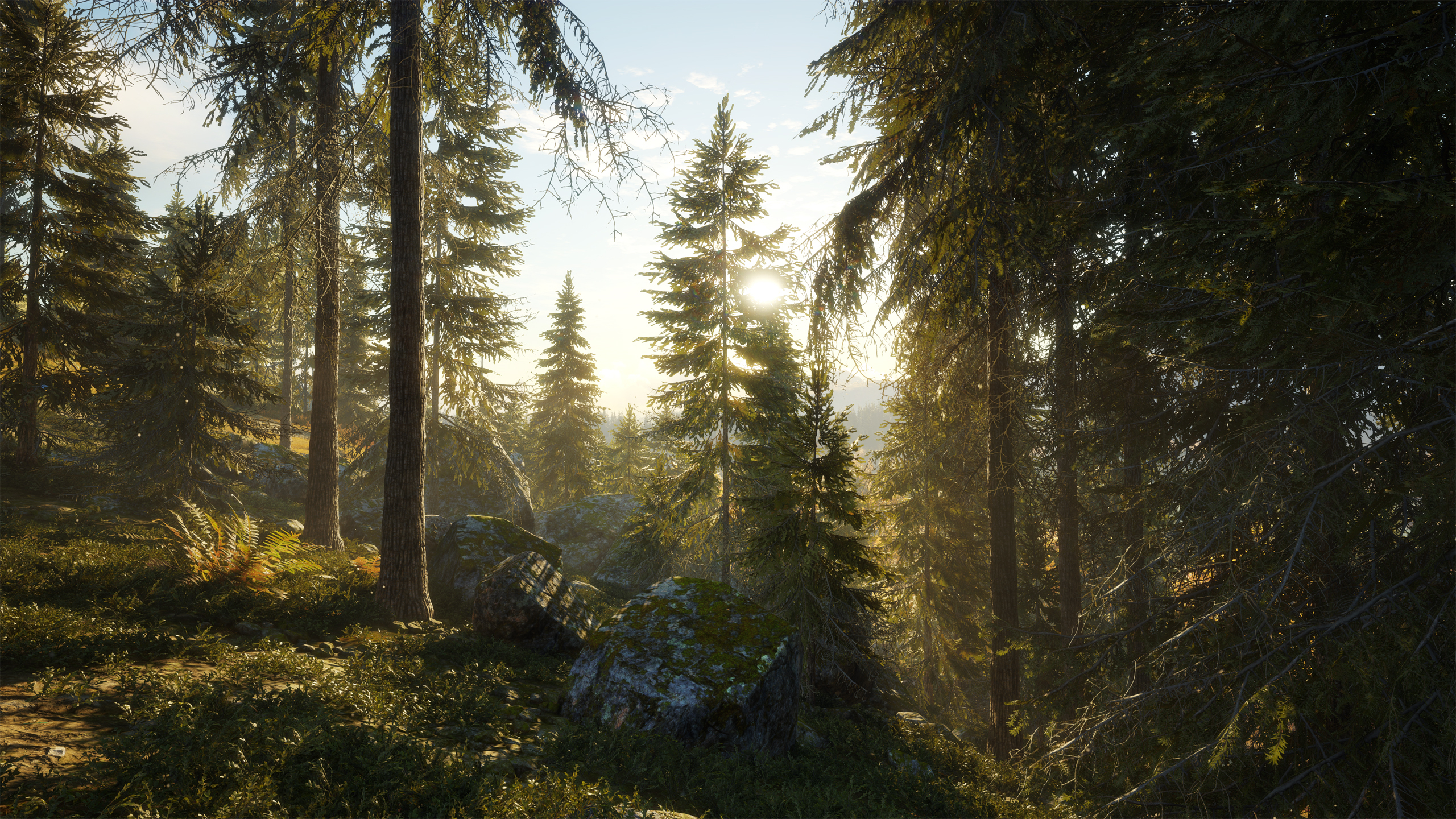 2560x1440 TheHunter: Call Of The Wild HD Wallpaper, Desktop