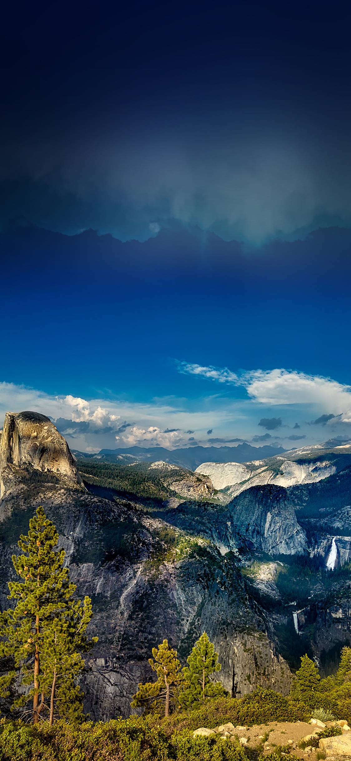 1130x2440 yosemite mountain wood summer nature, Phone