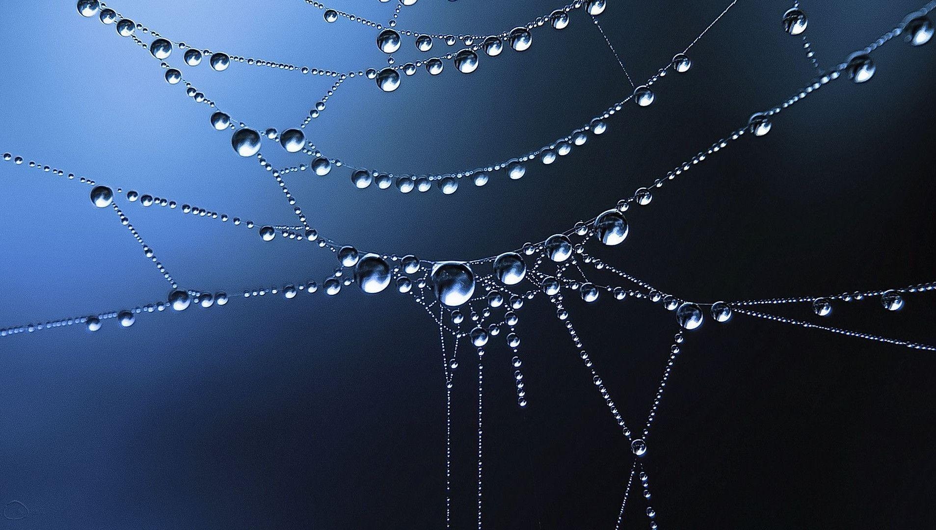 1910x1080 Frozen Waterdrops on Spider Web Wallpaper and Photo Download, Desktop