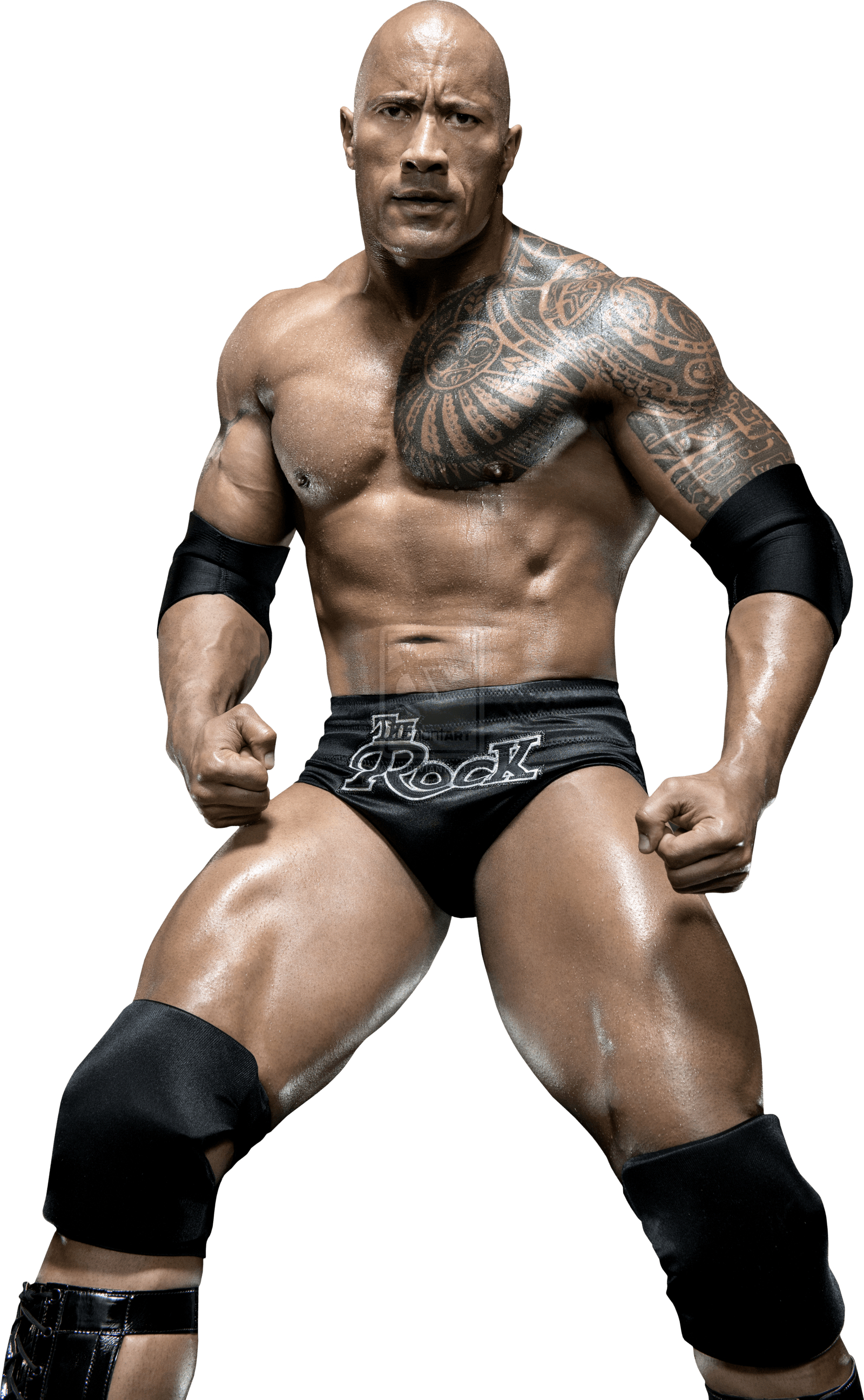 1600x2600 The Rock Full HD Wallpaper. Places to Visit. Dwayne, Phone