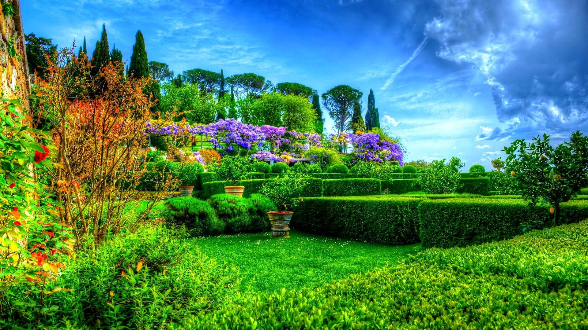 1920x1080 Download Garden HDR Grass Bush Tree, Desktop