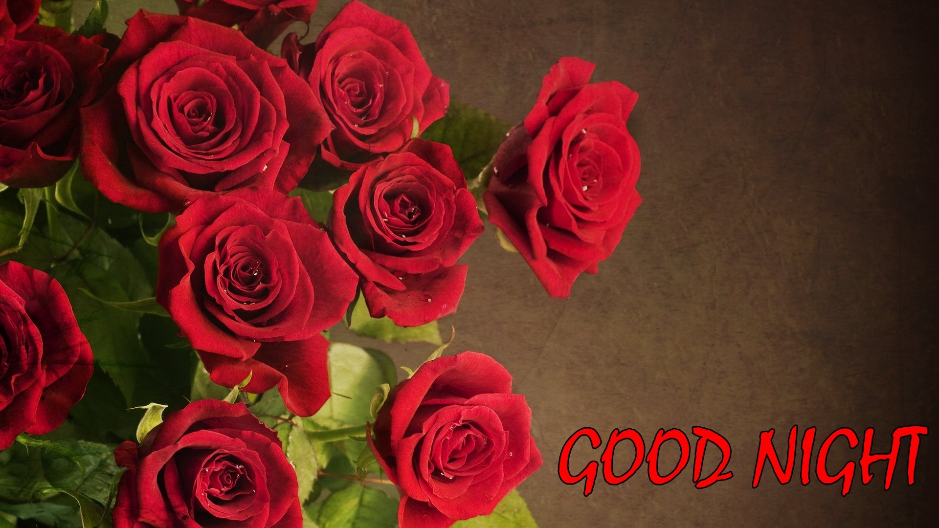 1920x1080 Good Night Rose Flower HD, Desktop