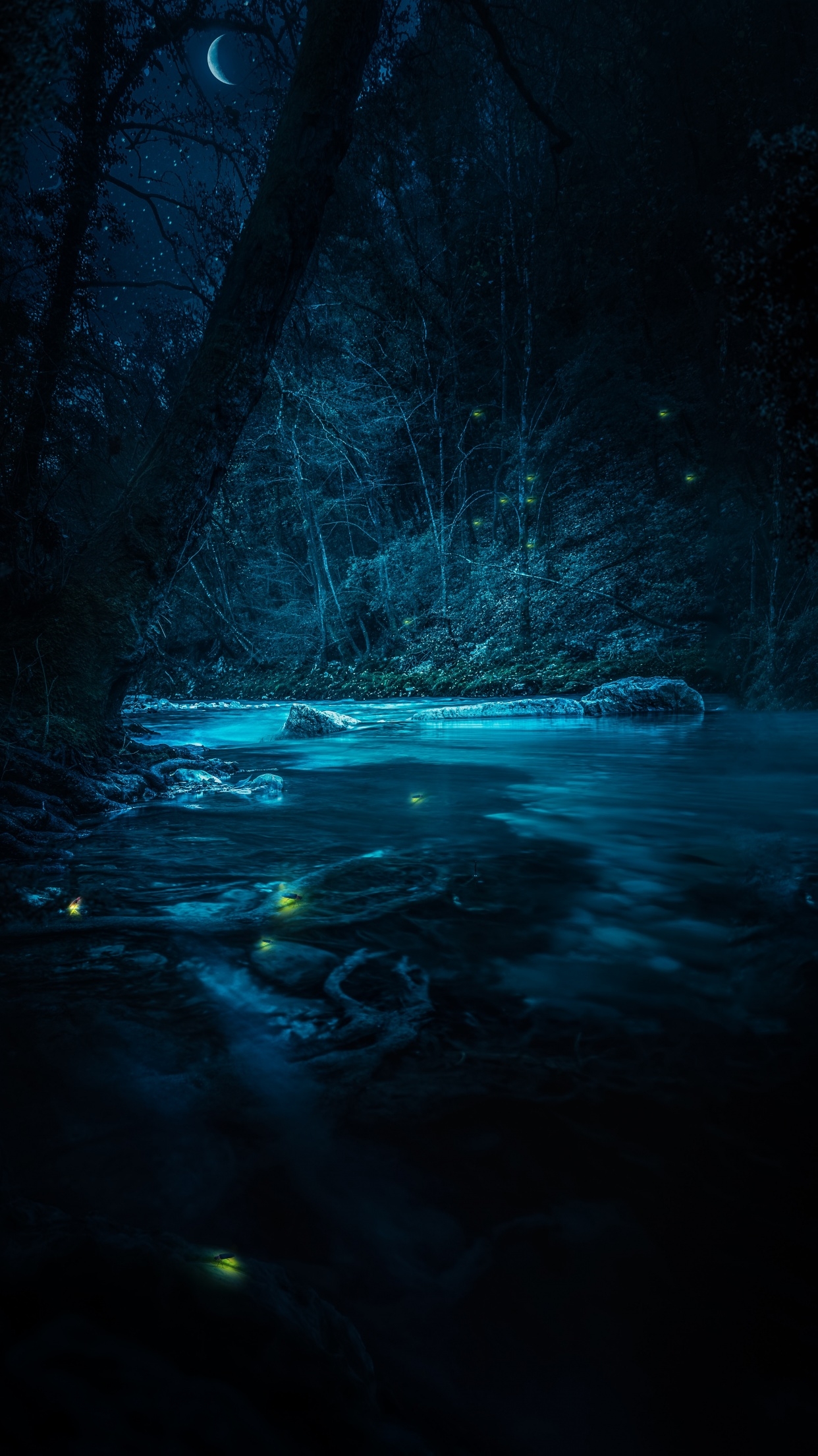 1250x2210 Forest Wallpaper 4K, River, Night, Dark, Magical, Phone