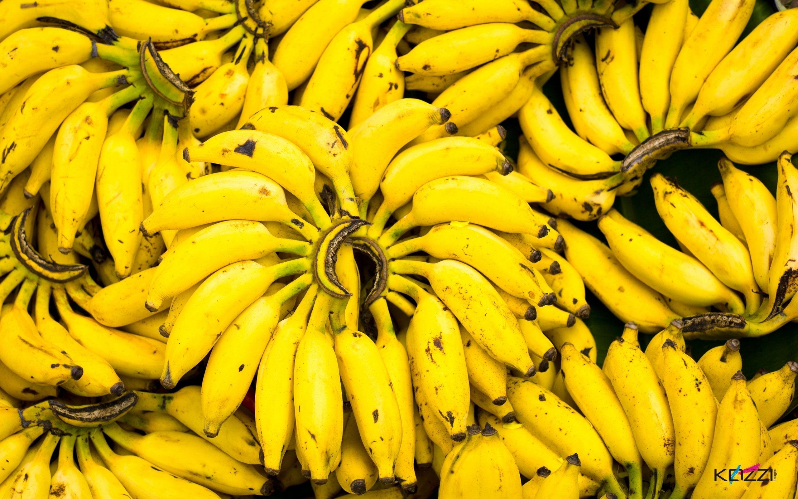 2560x1600 Banana HD Desktop Wallpaper, Desktop