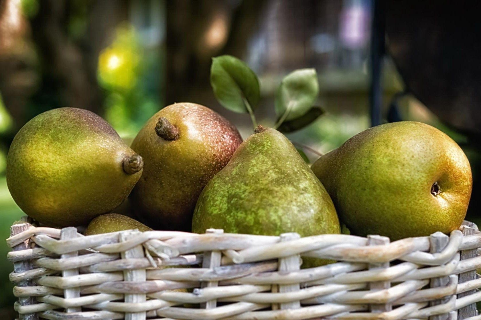 1680x1120 Basket of Pear HD wallpaper, Desktop