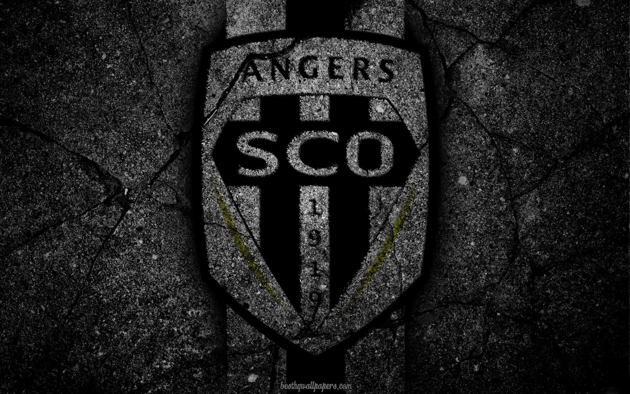 2560x1600 Download wallpaper Angers, logo, art, Liga soccer, Angers SCO, Desktop