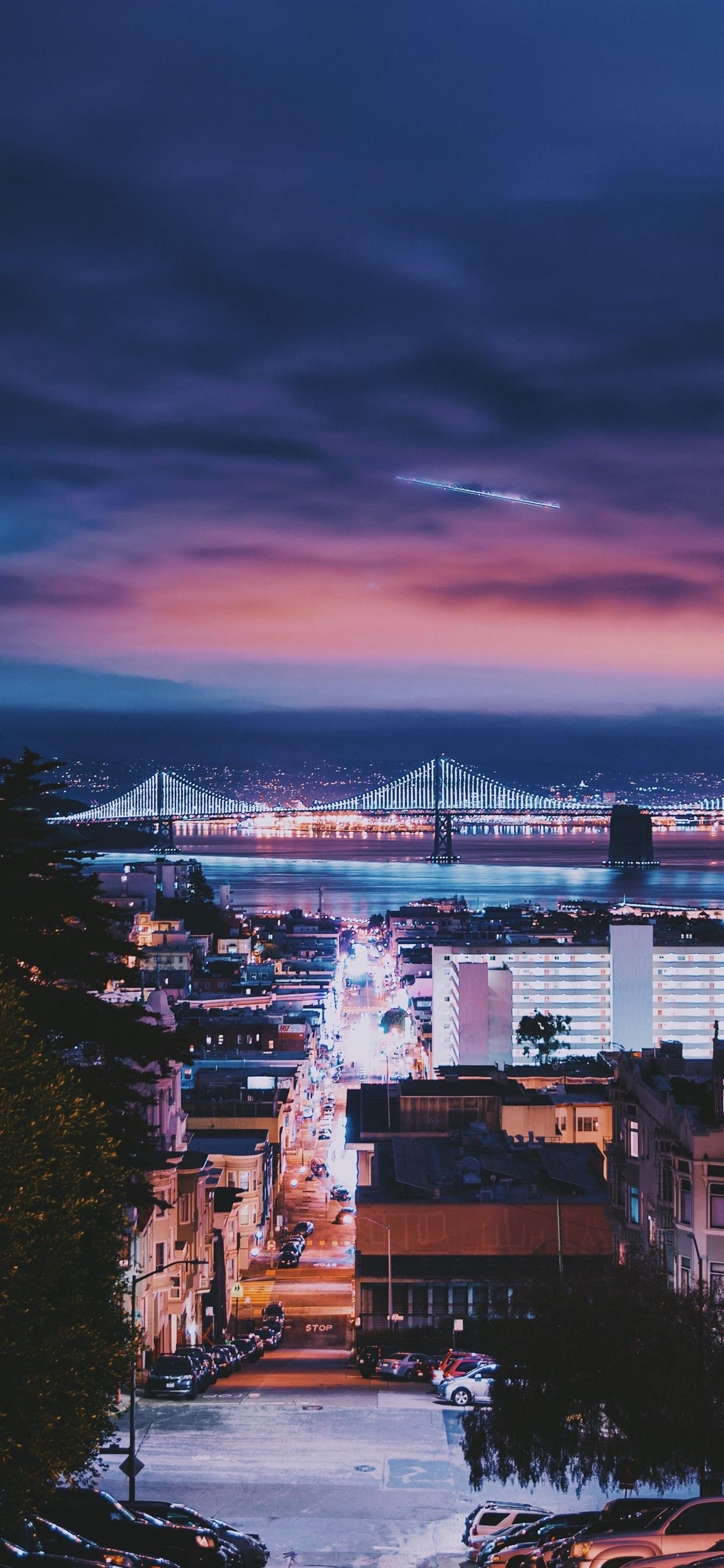 1250x2690 San Francisco, city, night, bridge, buildings, cars, illumination, Phone