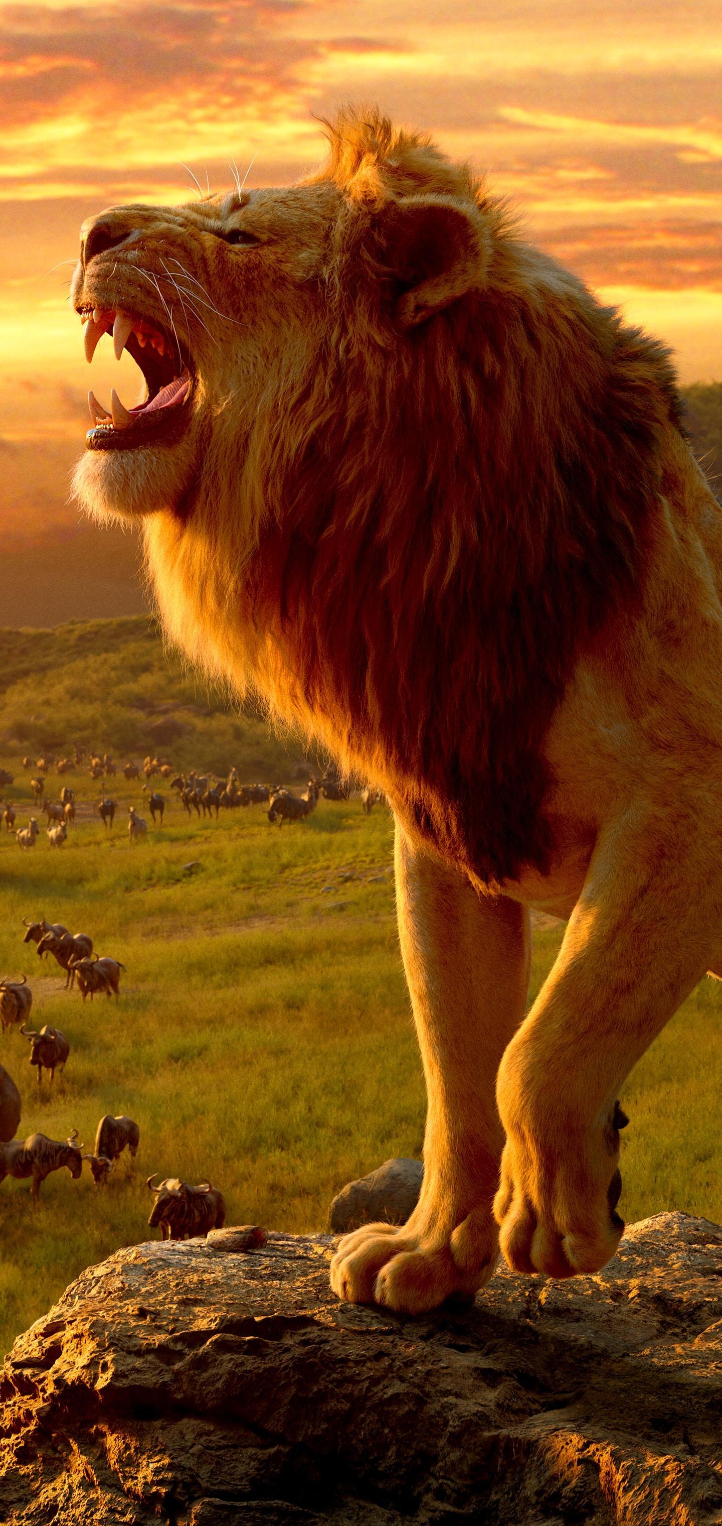 1440x3040 Movie The Lion King (2019) () Wallpaper, Phone