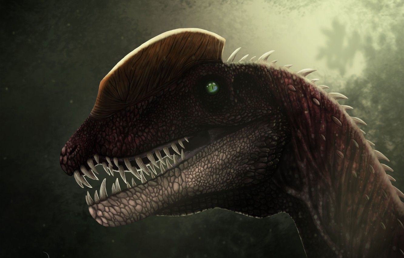 1340x850 Wallpaper dinosaur, head, dilophosaurus.goodfon.com, Desktop