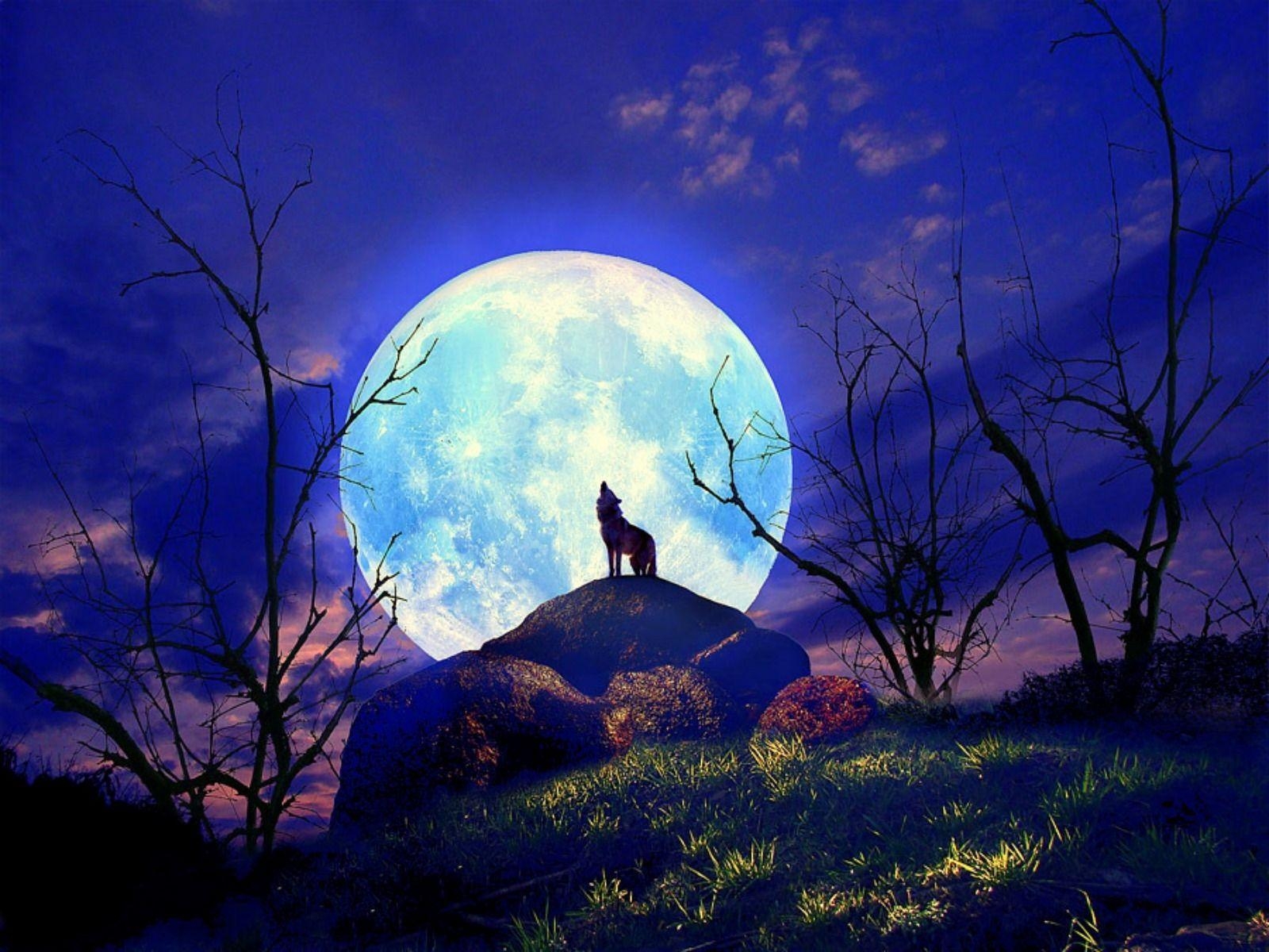 1600x1200 Full Moon Wolf Howling Wallpaper. Pagan stuff. Moon, Desktop