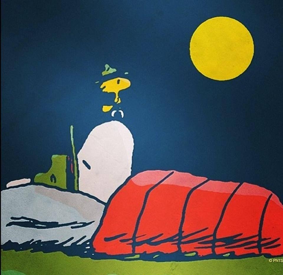 960x940 Camping out. Peanuts!!!. Snoopy, Peanuts gang, Desktop