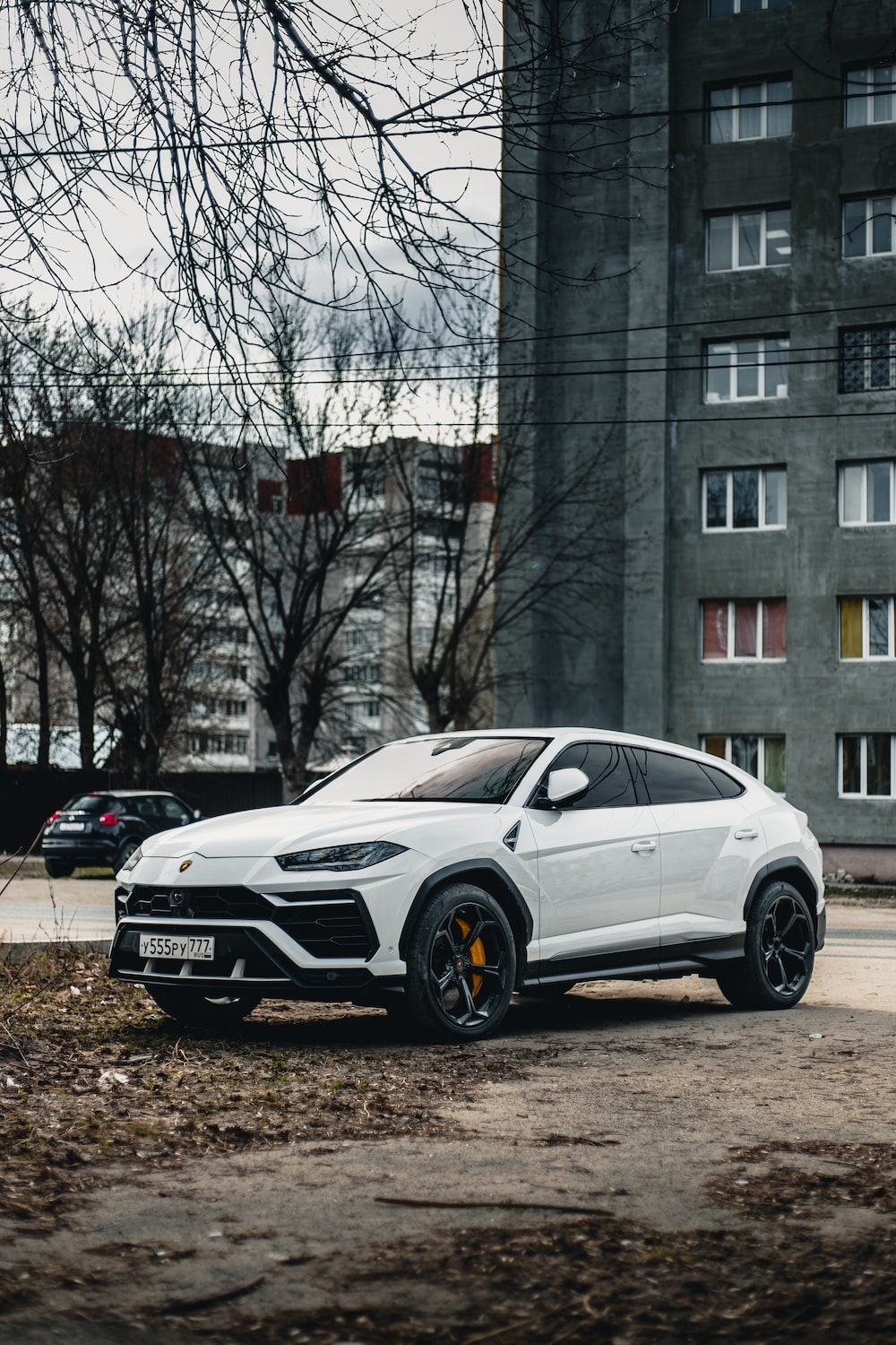 1000x1500 Urus Picture. Download Free Image, Phone