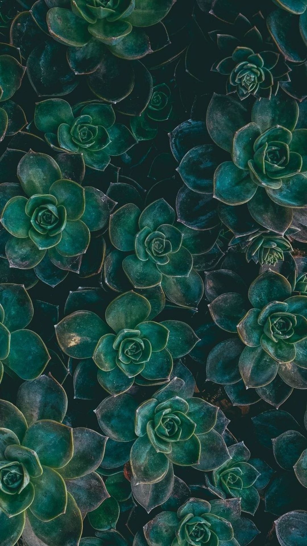 1080x1920 Green Aesthetic Tumblr, iPhone, Desktop HD Background / Wallpaper (1080p, 4k) () (2021), Phone