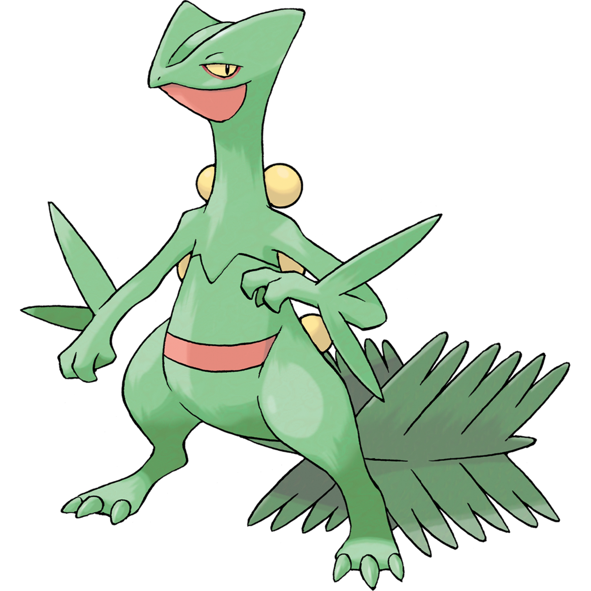 1200x1200 Sceptile (Pokémon), The Community Driven Pokémon Encyclopedia, Phone