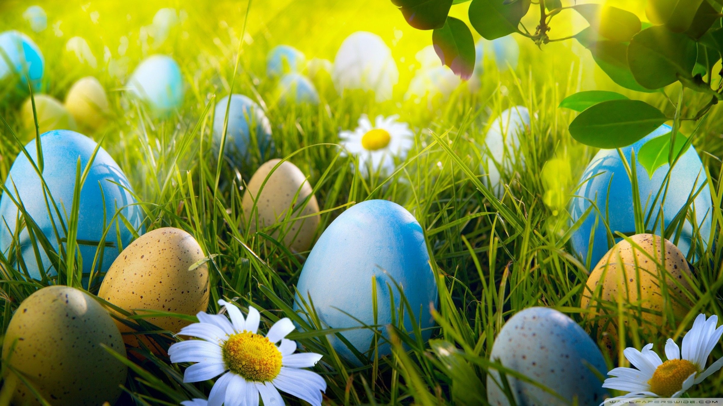 2400x1350 Easter Egg Desktop Wallpaper, Desktop