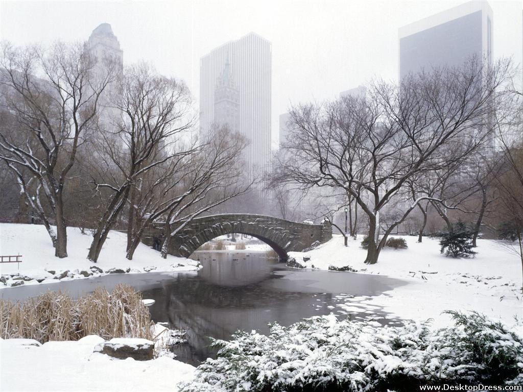 1030x770 Desktop Wallpaper Other Background Central Park in Winter, New, Desktop