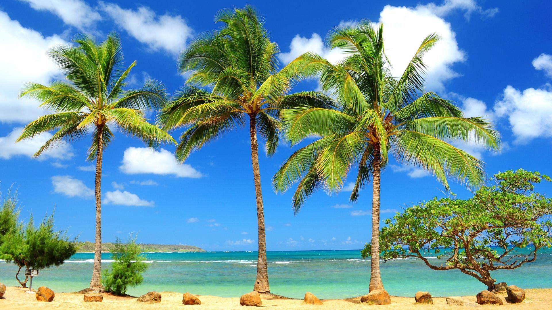 1920x1080 Caribbean Background, Desktop