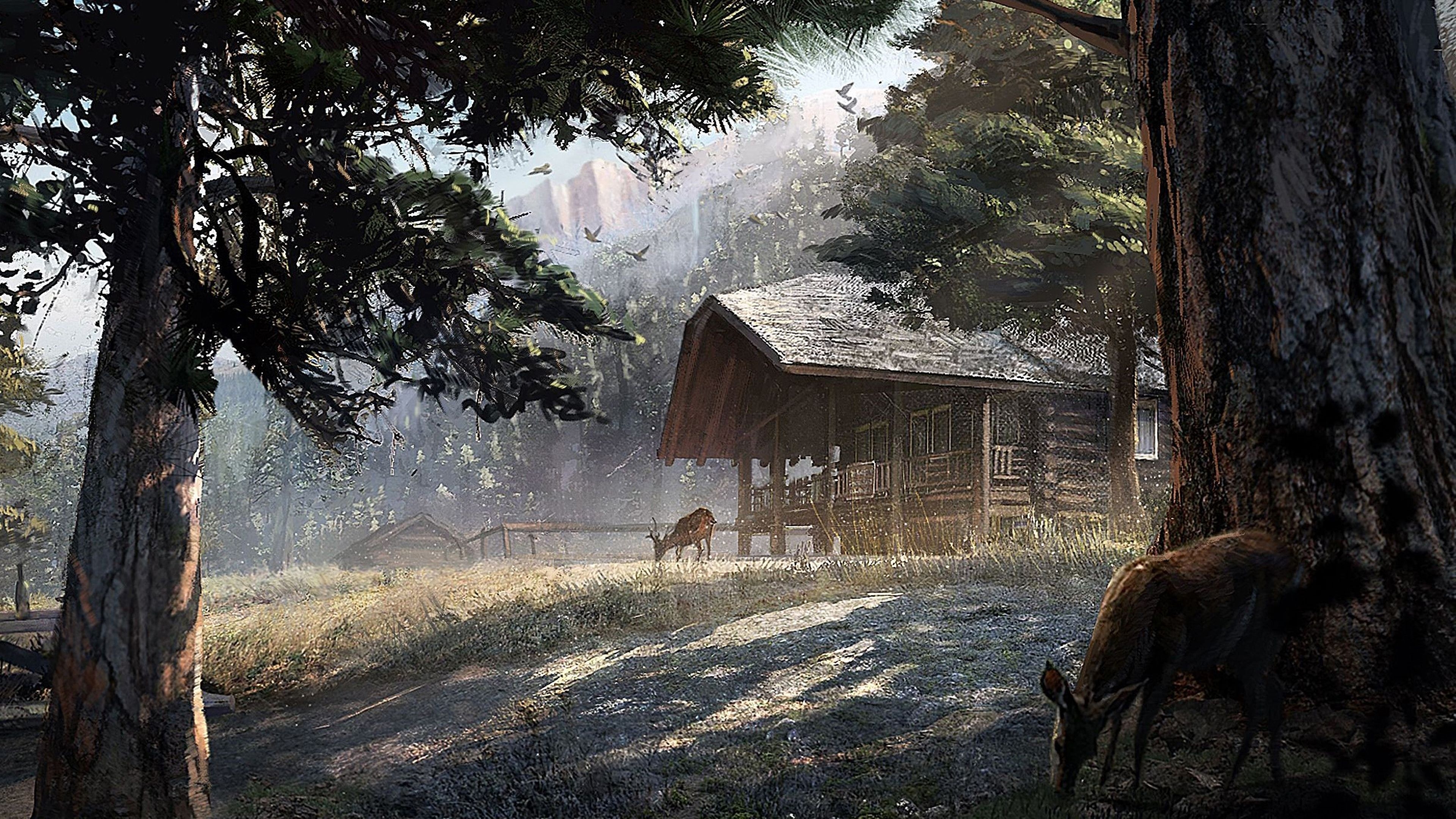 3840x2160 FarCry5 The best game of the year. Get this awesome 4k wallpaper, Desktop