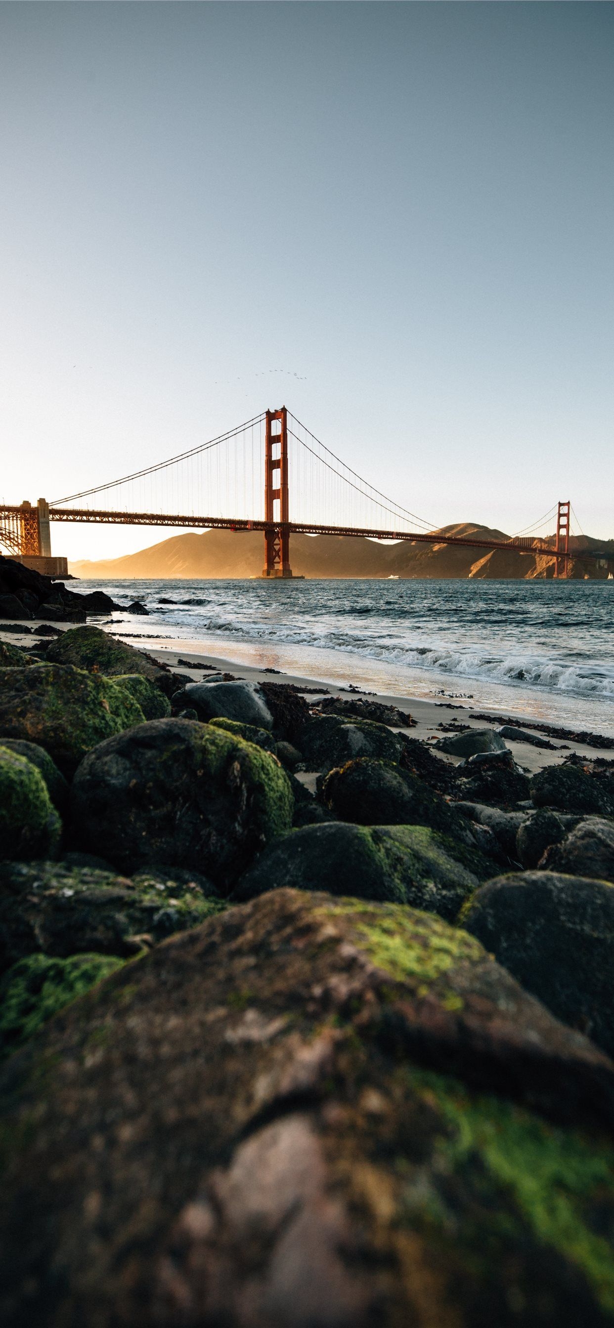 1250x2690 Golden Gate Bridge San Francisco at daytime iPhone Wallpaper Free, Phone