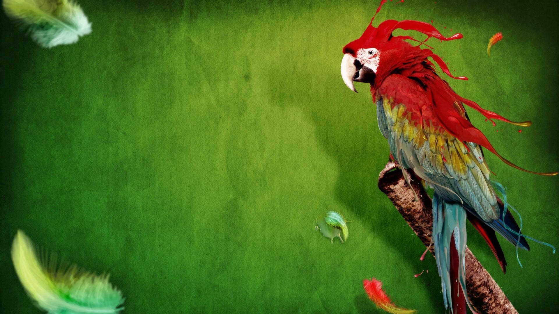 1920x1080 Parrot Wallpaper 3 X 1080, Desktop