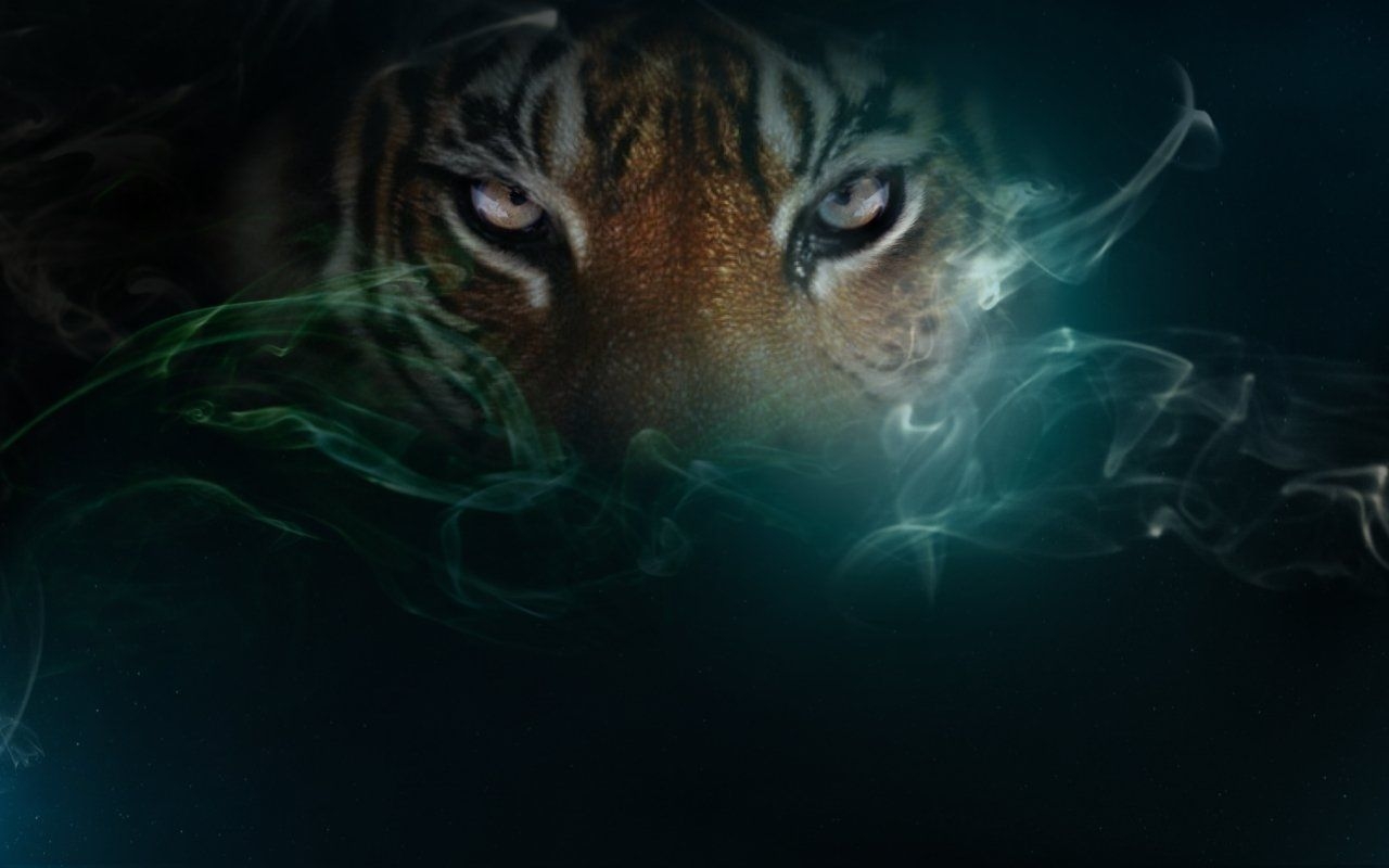 1280x800 Cool Tiger Backgroundwallpaperafari.com, Desktop