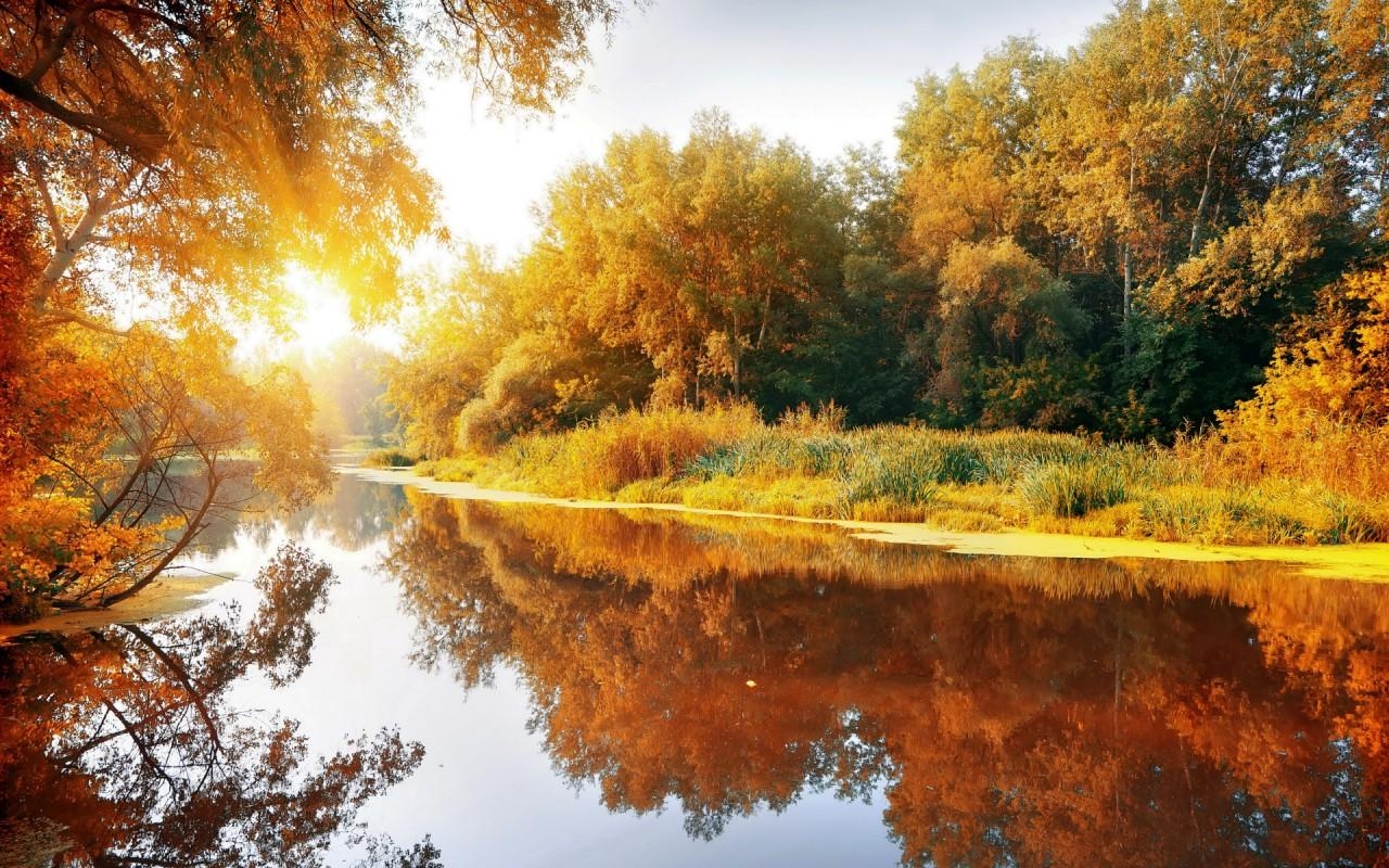 1280x800 Autumn Trees Lake Bright Sun wallpaper. Autumn Trees Lake Bright, Desktop