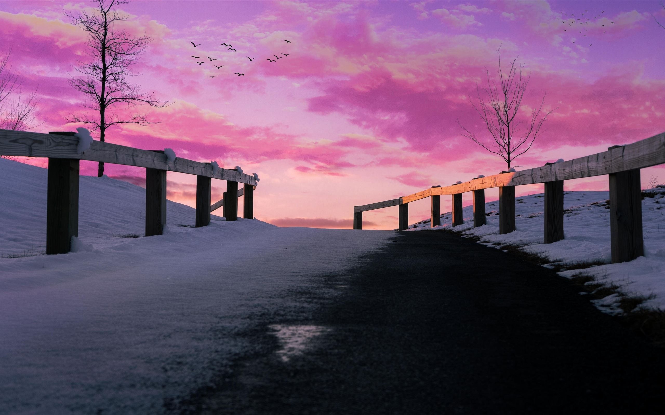 2560x1600 aesthetics pink pink sky 5k iMac Wallpaper Download, Desktop