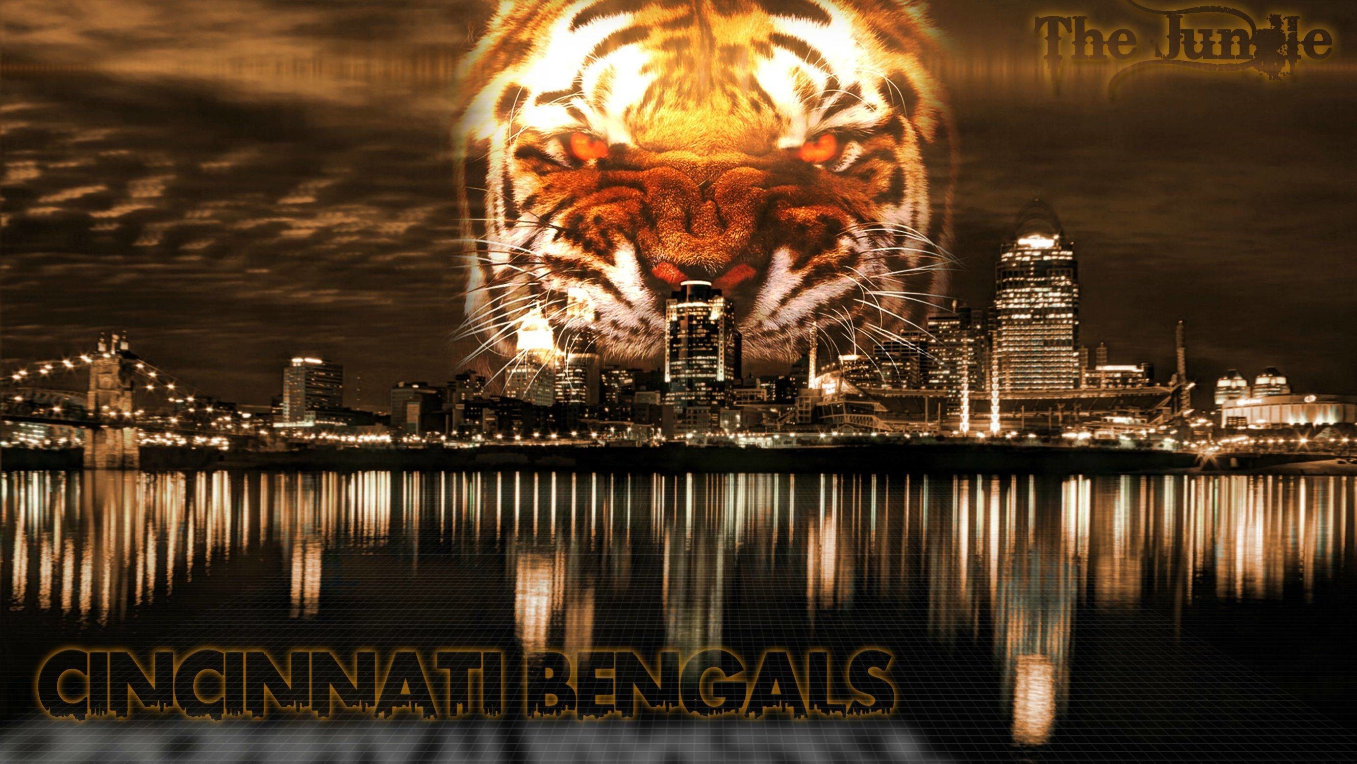 2770x1560 Filename: Cincinnati Bengals, Desktop