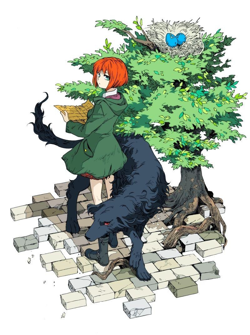 800x1080 Mahou Tsukai no Yome (The Ancient Magus' Bride) Mobile Wallpaper, Phone