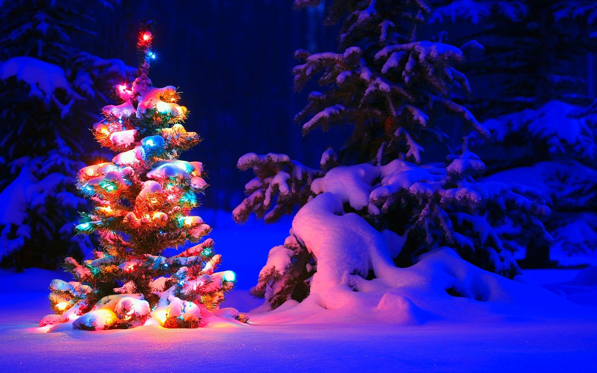 1920x1200 HD Christmas Wallpaper, Desktop