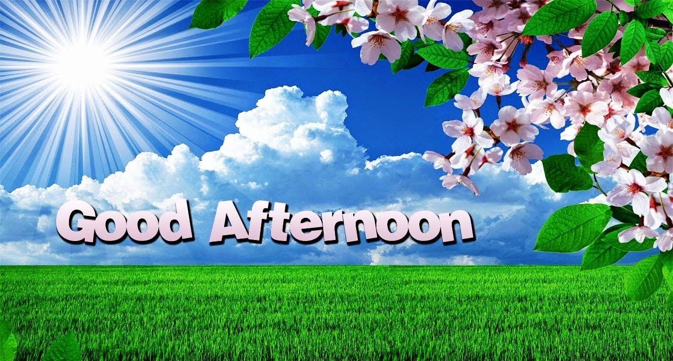 1370x740 Very Good Afternoon. Good Afternoon Video Clip For Whatsapp, Desktop