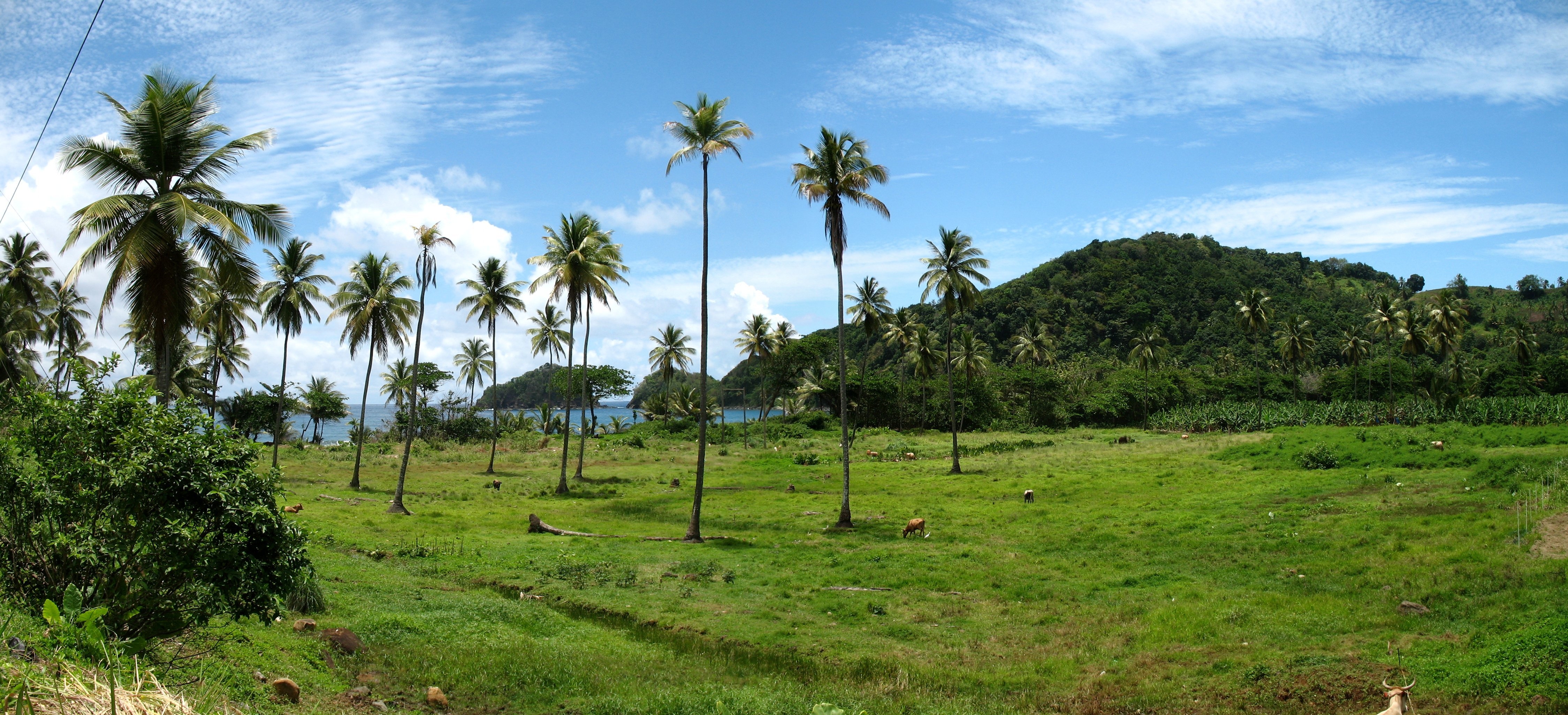 4500x2050 Sierra Leone, uniqueness at it's finest.'s Africa Blog, Dual Screen