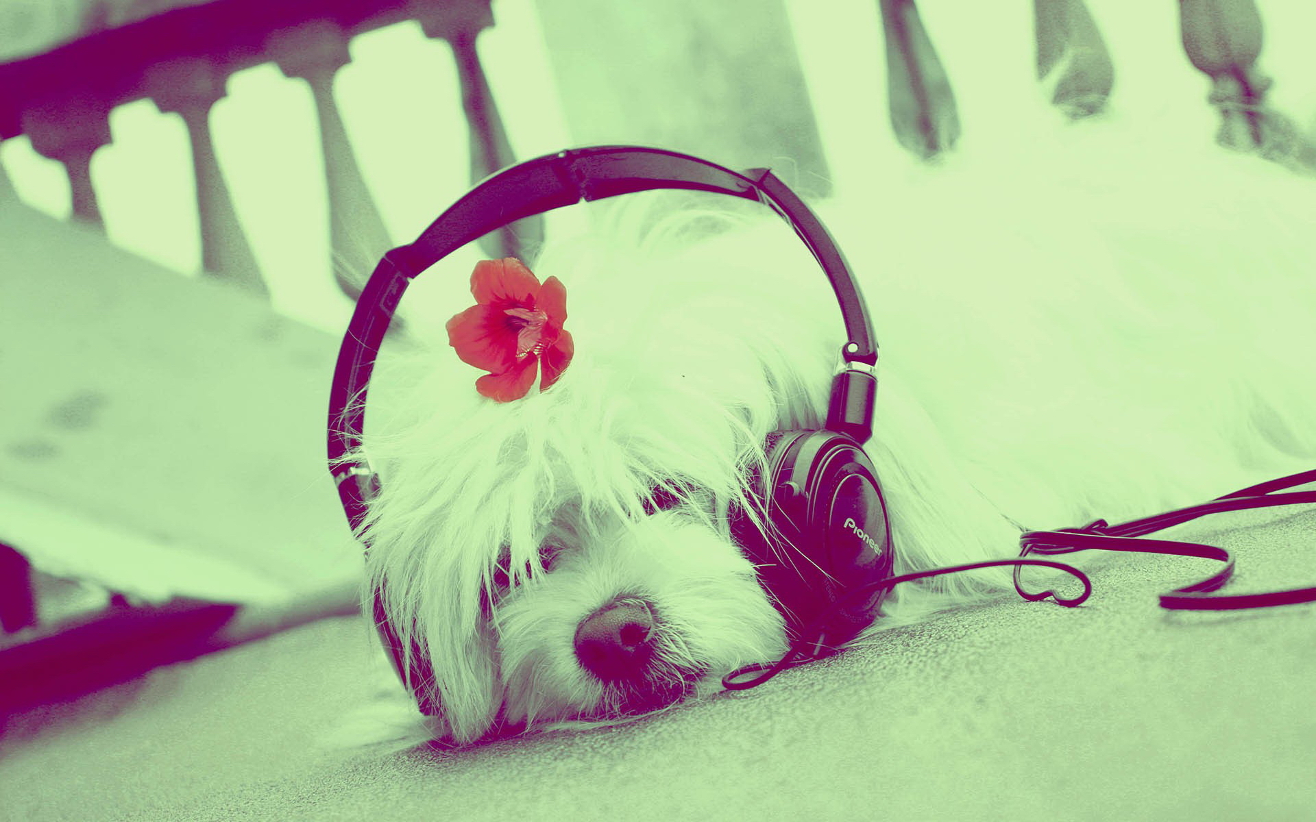 1920x1200 Cute Music Wallpaper, Desktop