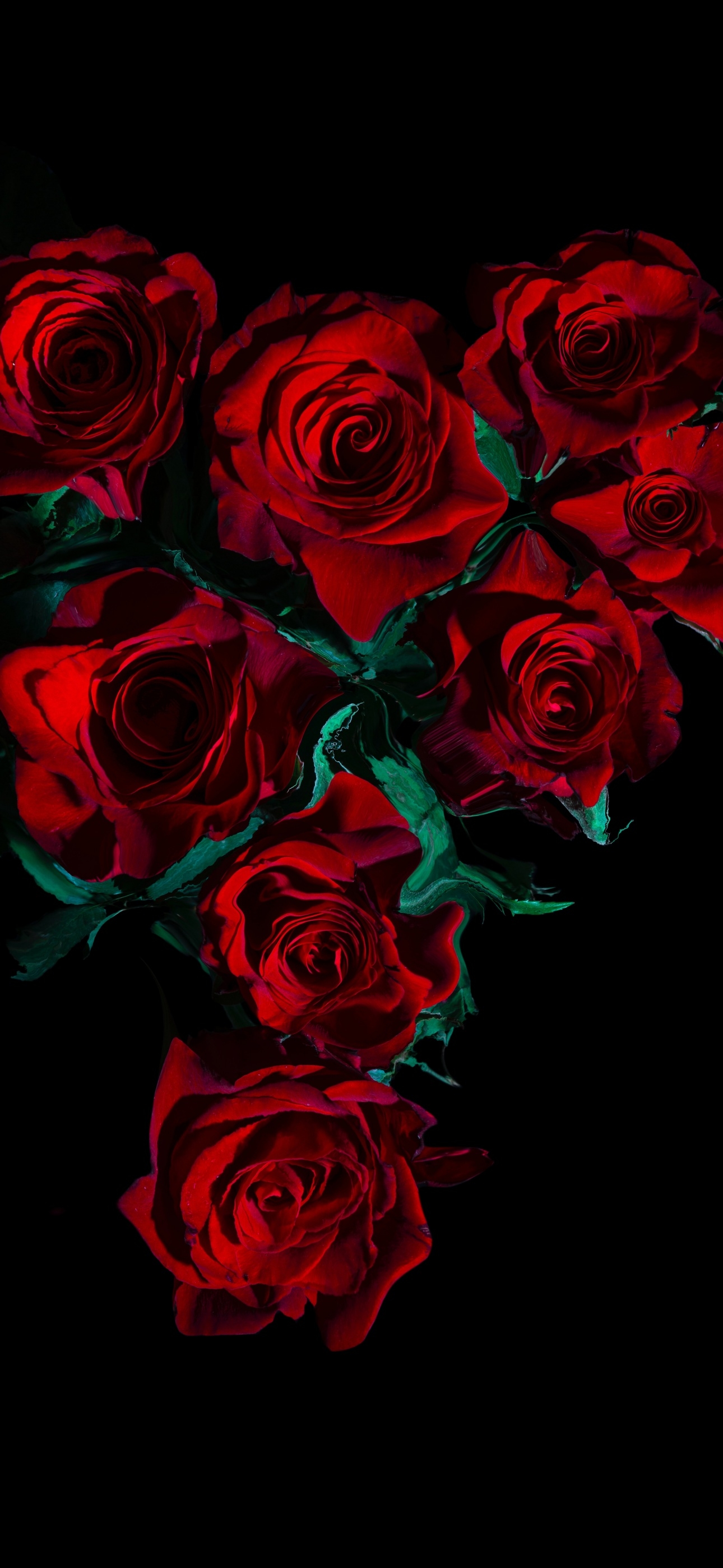 1290x2800 Red Roses Wallpaper 4K, Flower bouquet, Phone