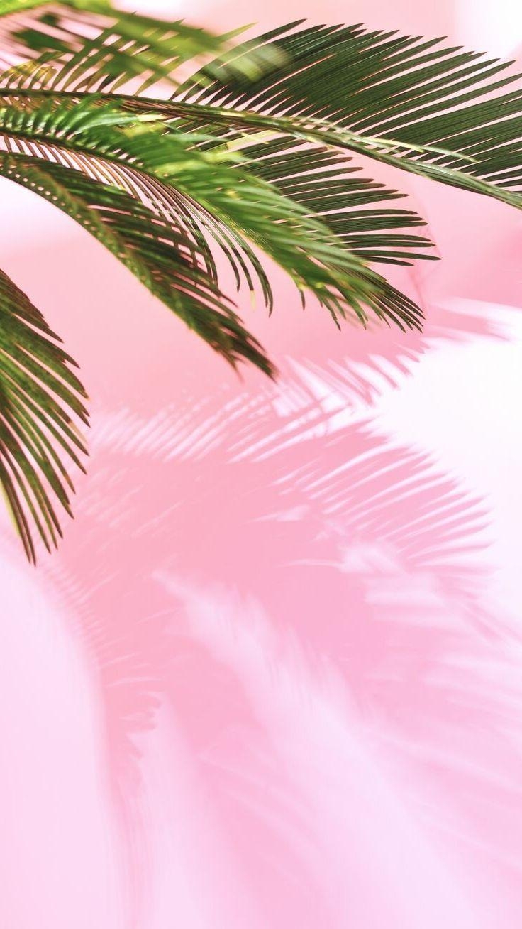 740x1310 Pretty Wallpaper For Your Shiny New iPhone 11, Phone