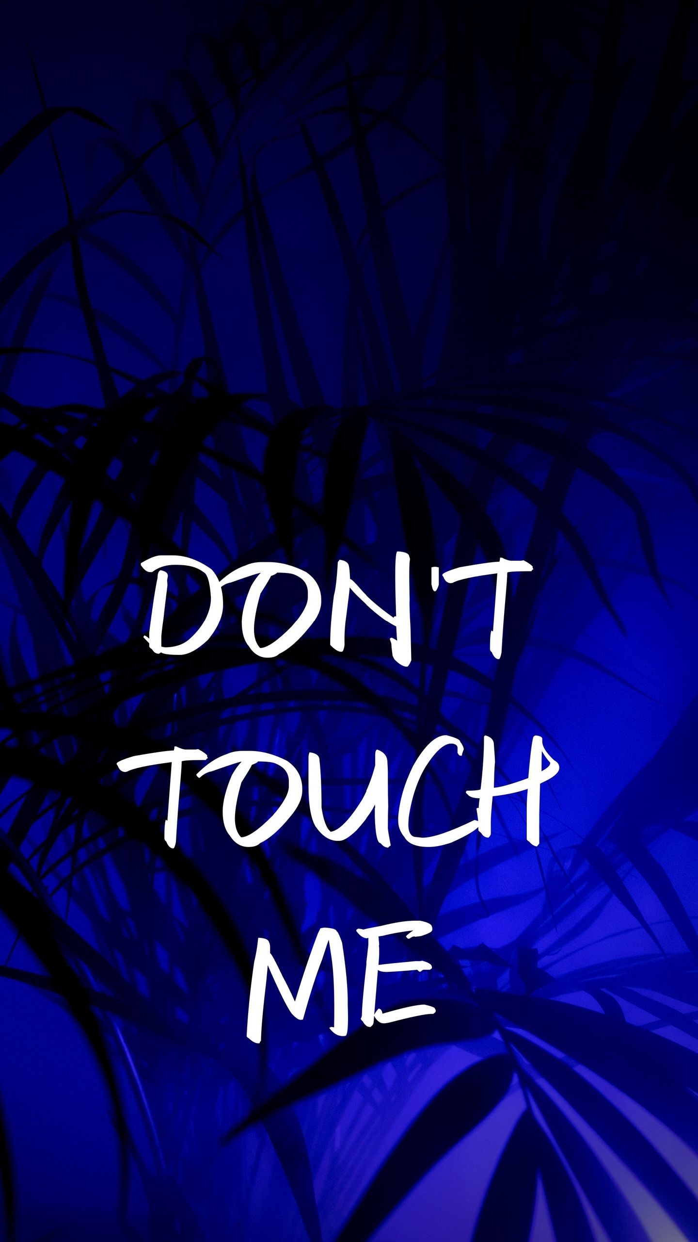 1440x2560 Dont Touch Me Wallpaper HD, Phone