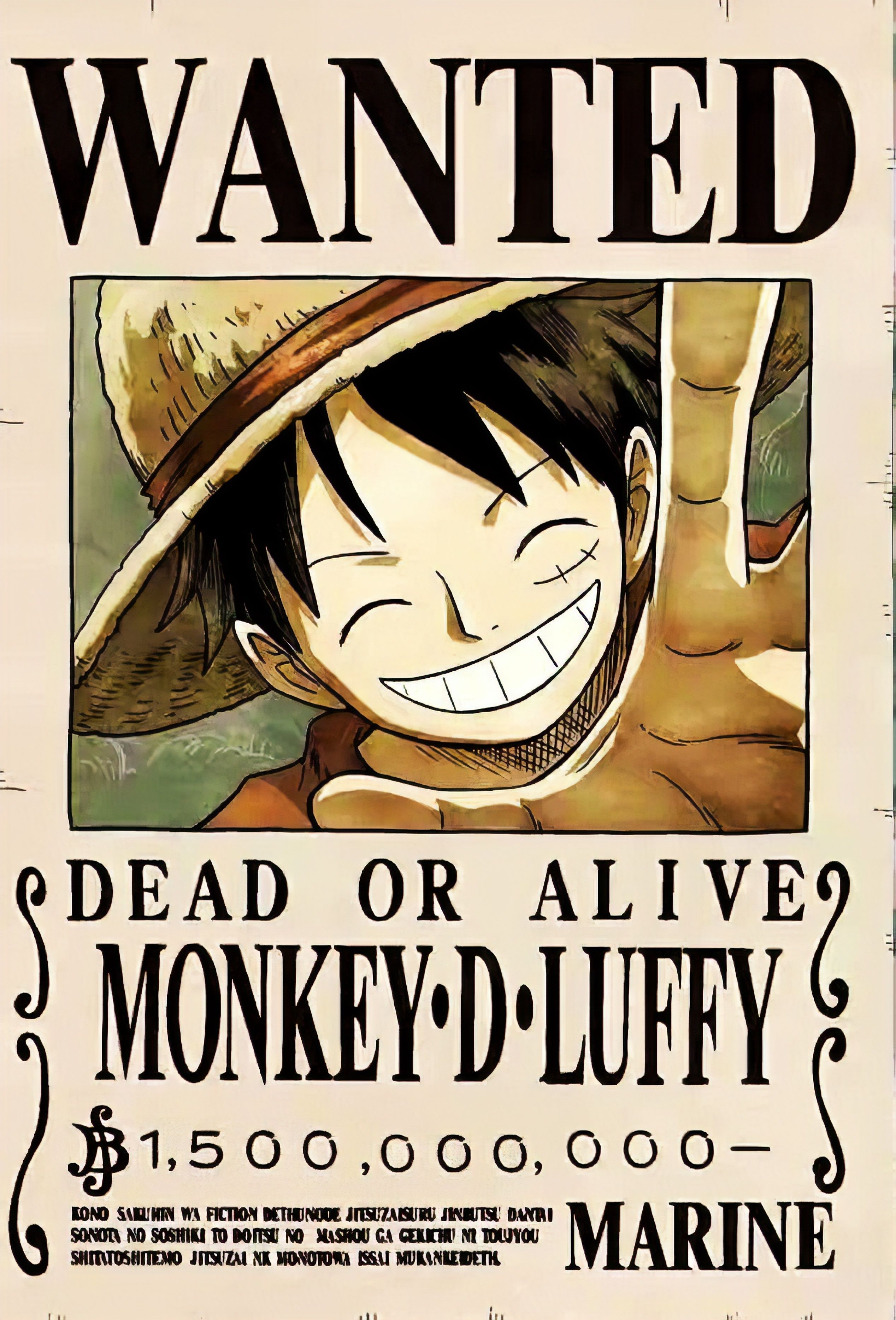 2540x3740 Luffy Bounty Wallpaper Free.wallpaperaccess.com, Phone