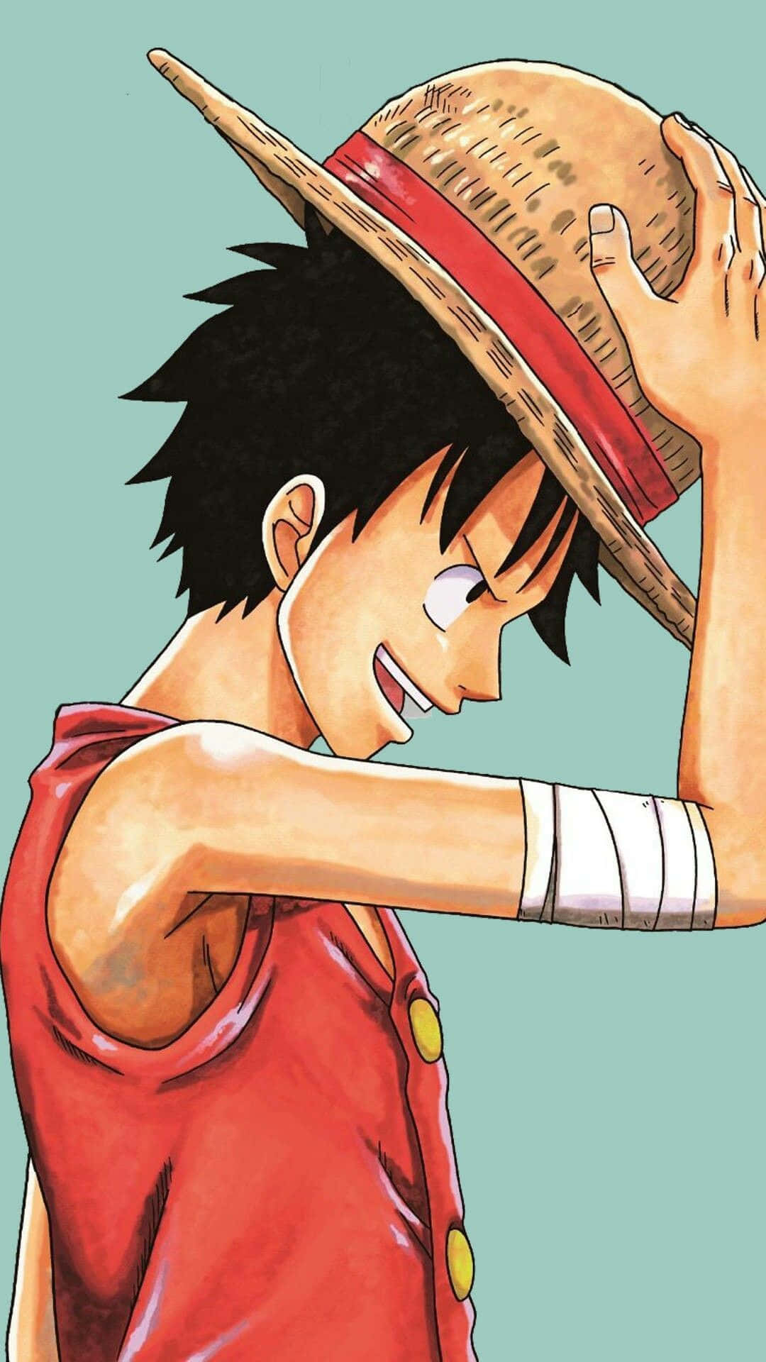 1080x1920 One Piece Luffy iPhone Wallpaper, Phone