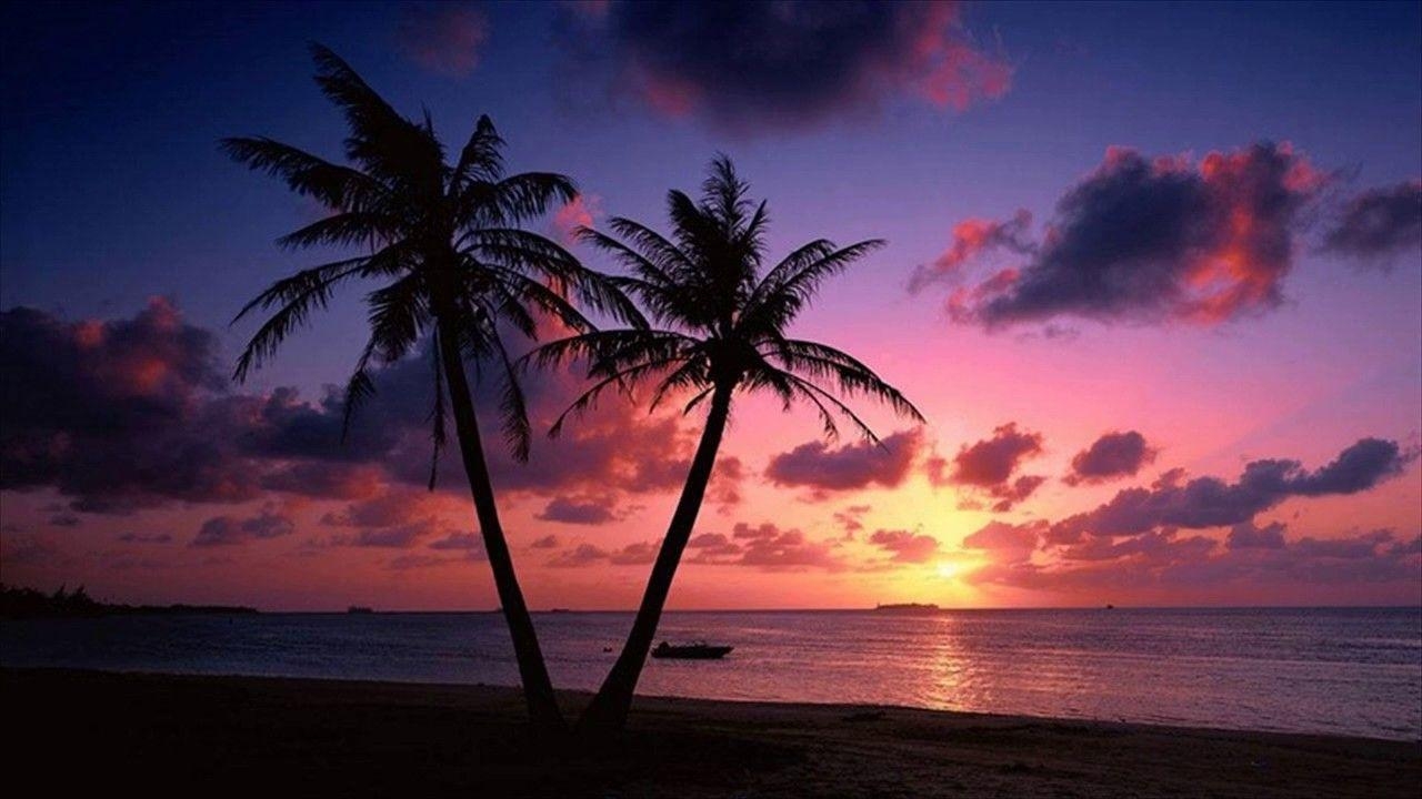 1280x720 Beach Sunset Live Wallpaper , Goa, India, Desktop