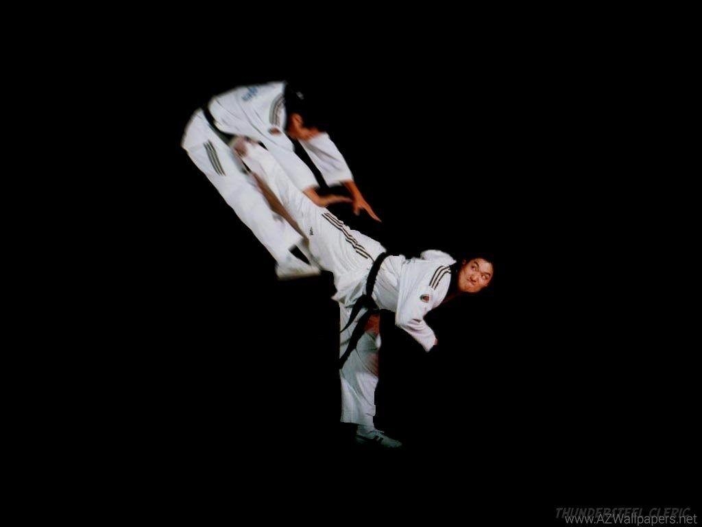 1030x770 wallpaper with Taekwondo, Desktop