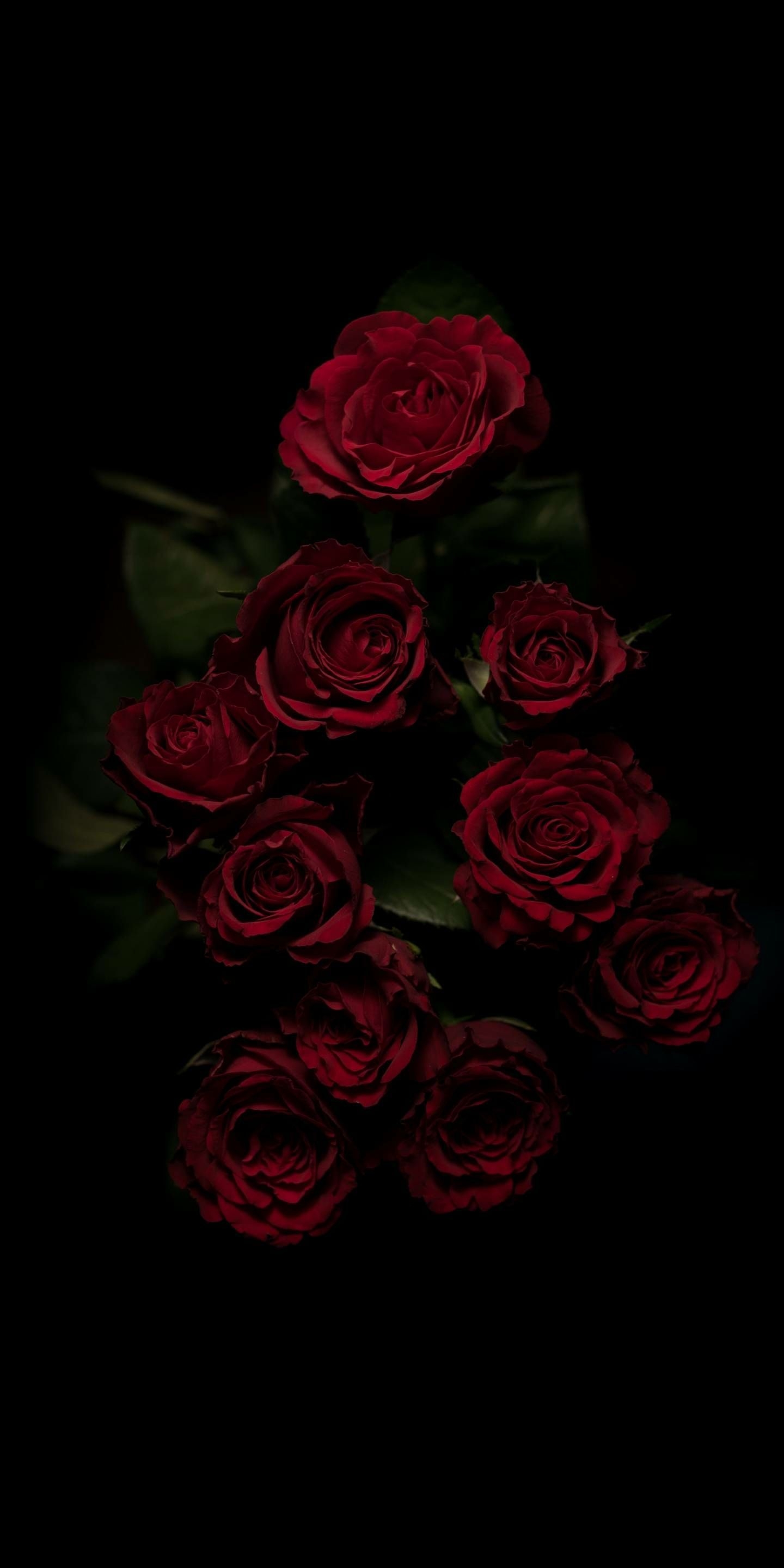 1440x2880 Aesthetics From my Camera Roll. Flowers black, Phone