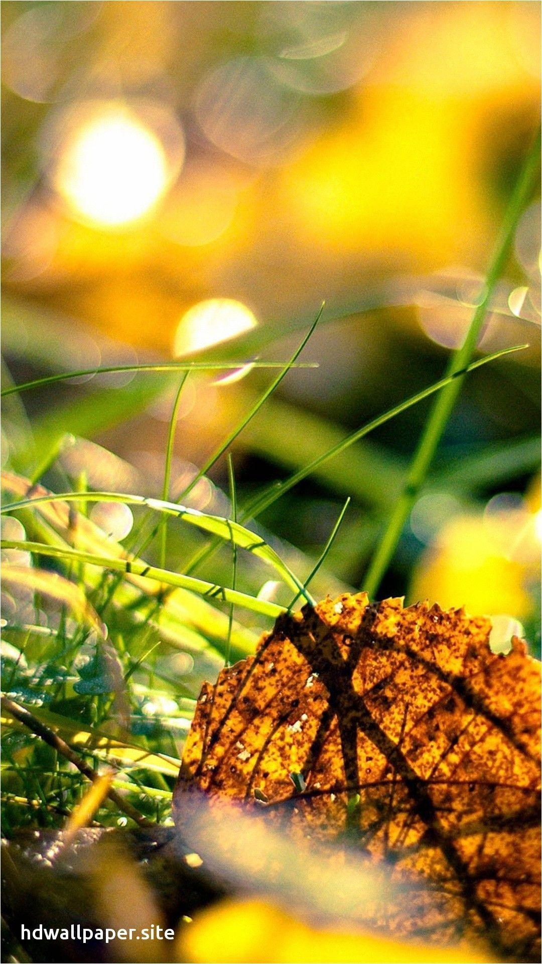 1080x1920 Fresh Nature Wallpaper Samsung Galaxy S3, Phone