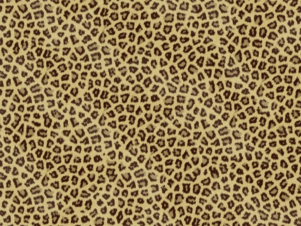 1030x770 Animal Print Laptop Wallpaper Free Animal Print Laptop Background, Desktop