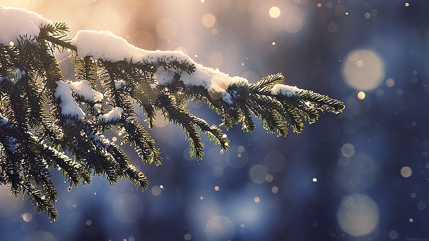 1370x770 Winter Wallpaper Aesthetic Laptop, Desktop