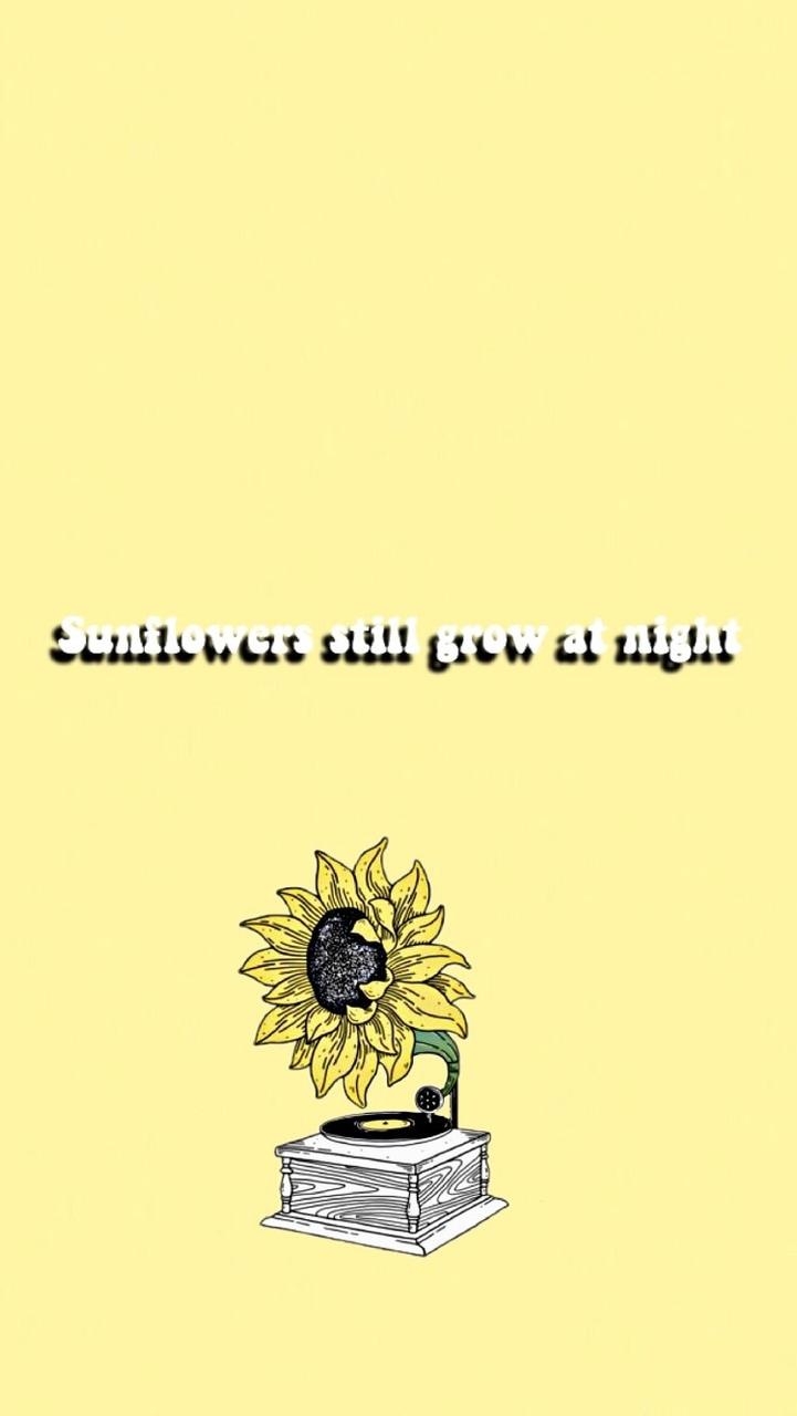 730x1280 Sunflower wallpaper discovered by, Phone